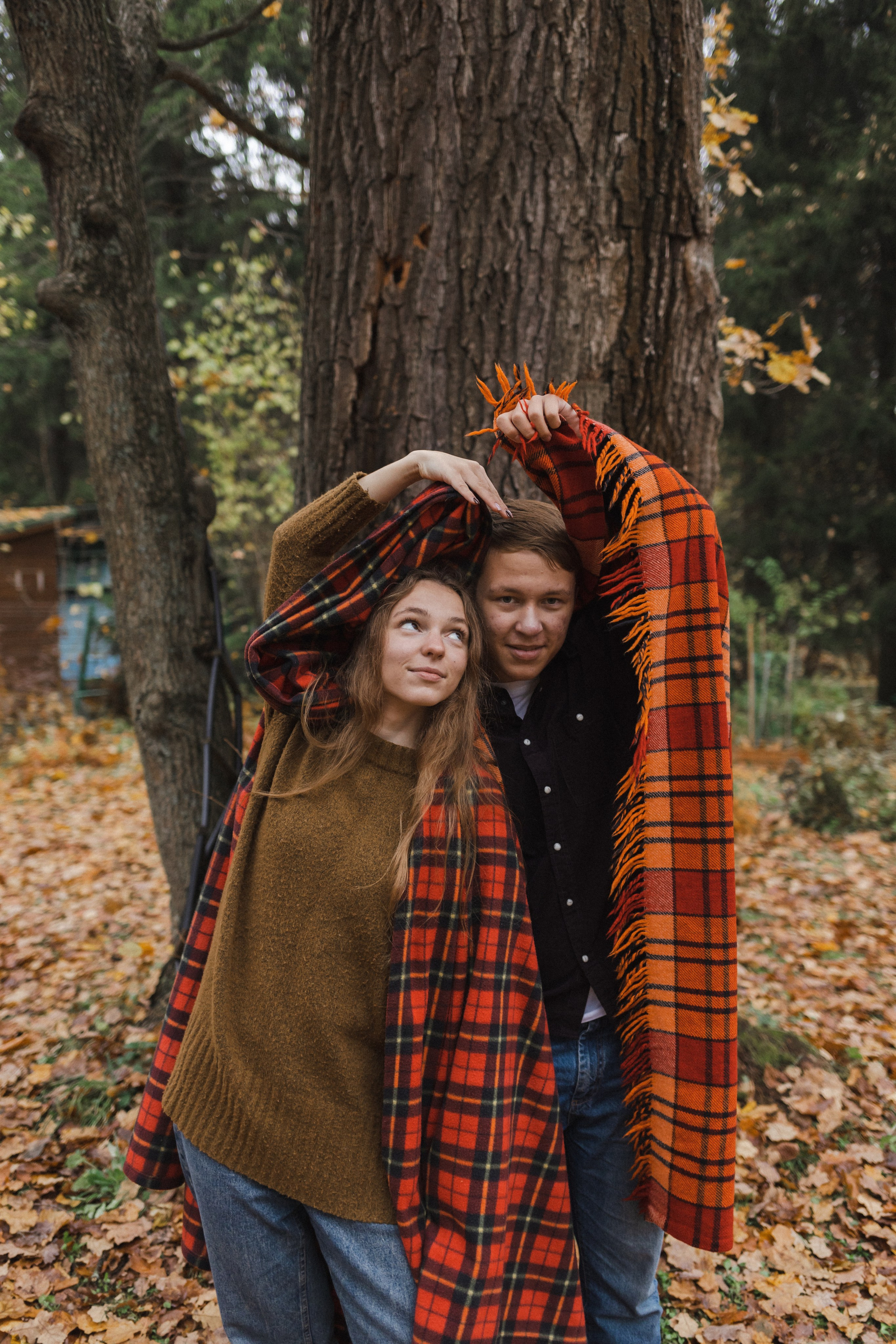 Five o'clock (история большой семьи). Семейный фотограф в Москве