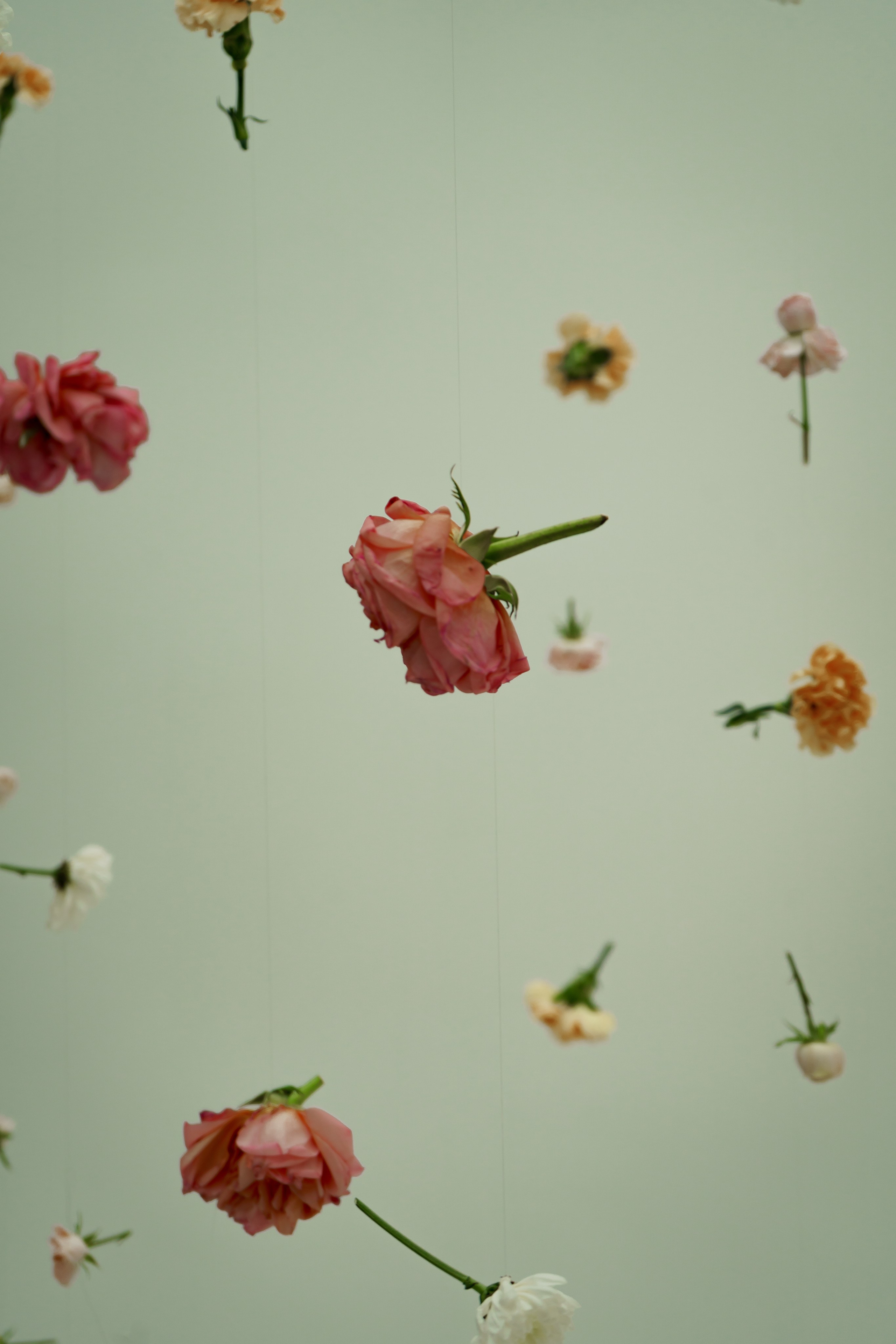 ЭТА СТУДИЯ. Photokarish