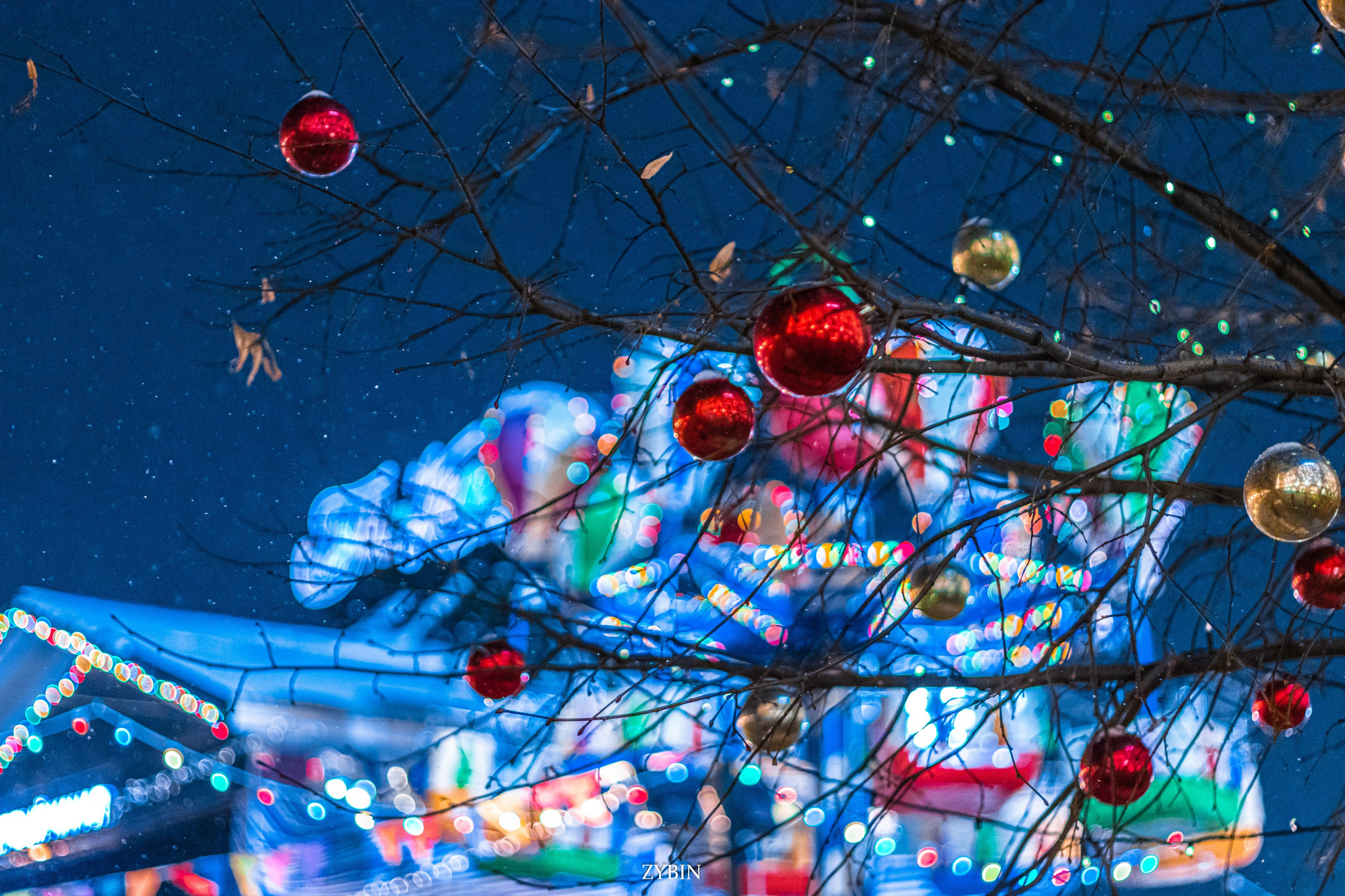 Творчество. Илья Зыбин — репортажный фотограф