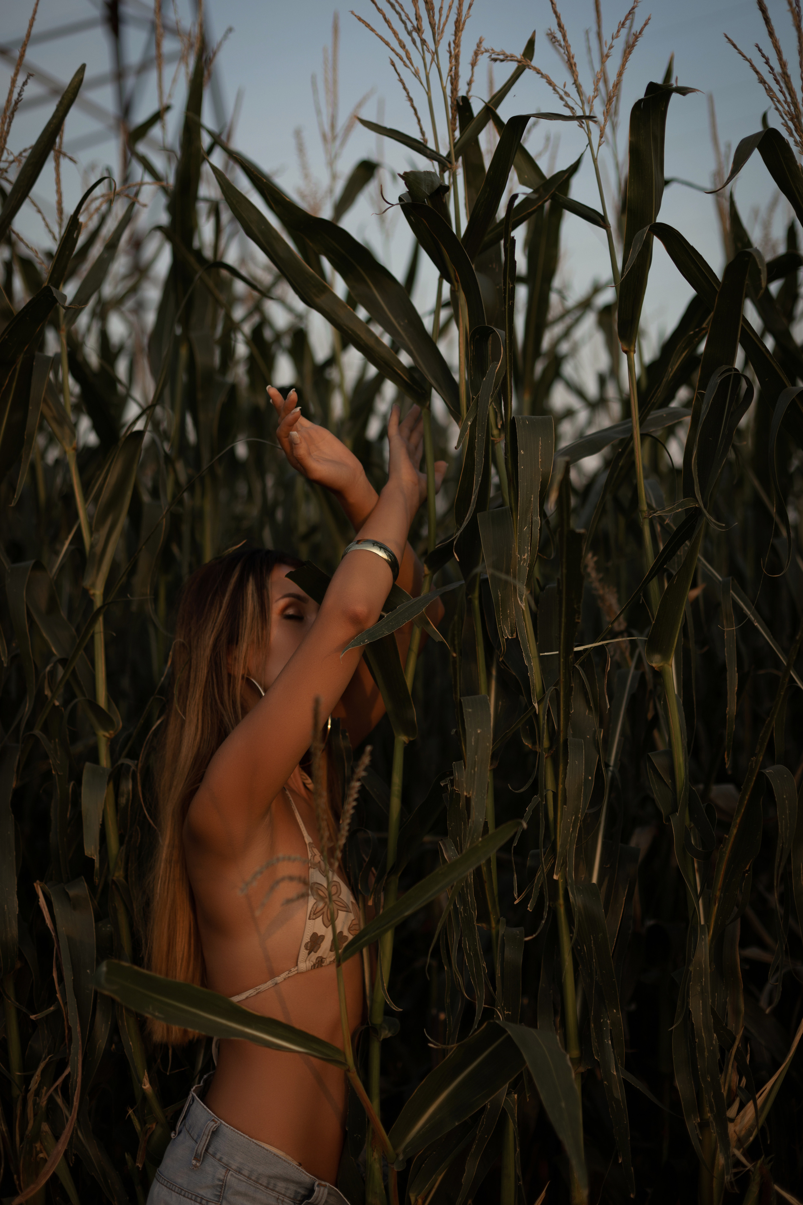 Александра «The girl in the corn». Фотограф Мария Щеголькова. Чувственный женский портрет