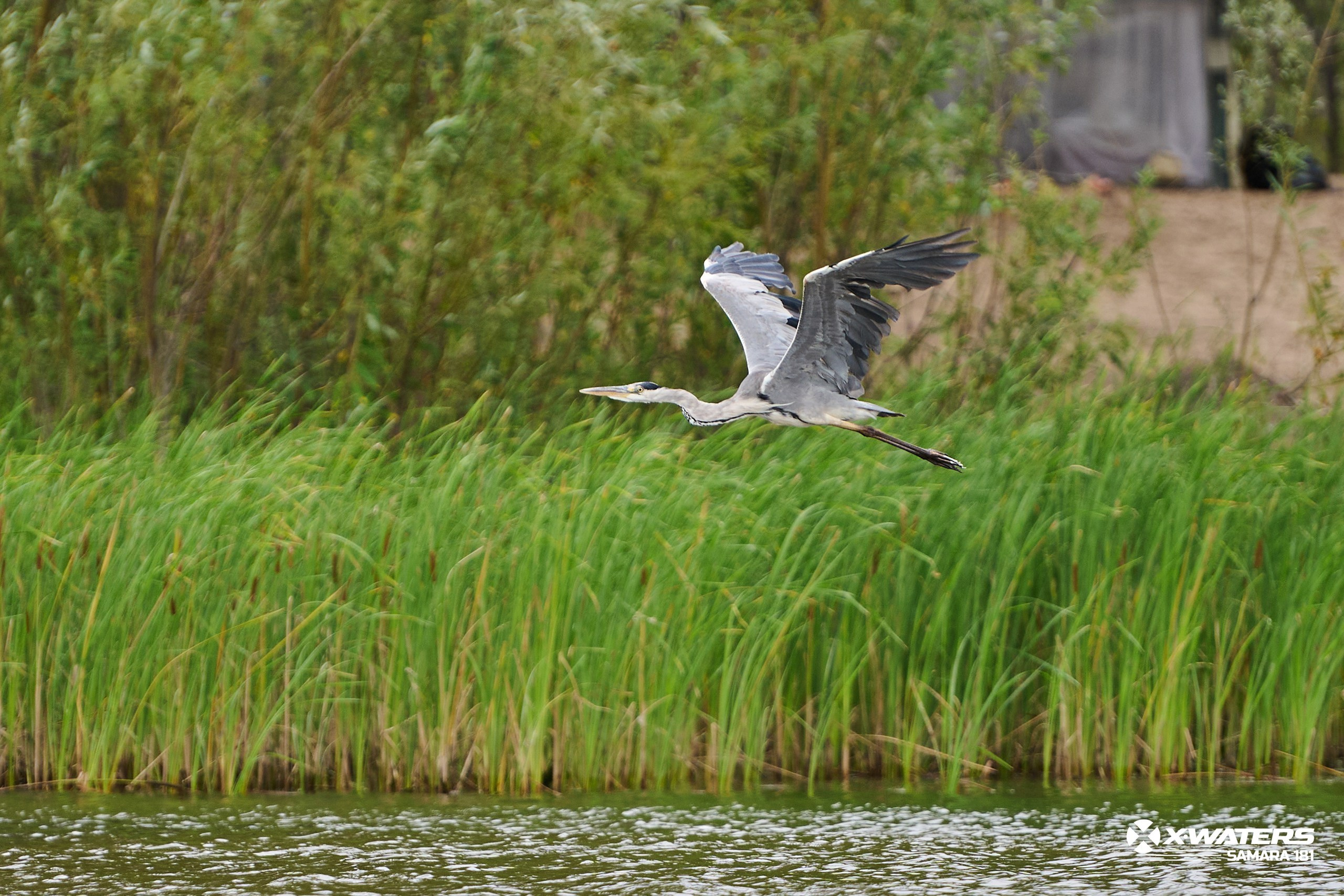 X-WATERS 2025 Samara 181 (самый длинный заплыв в России). Фотограф в Самаре