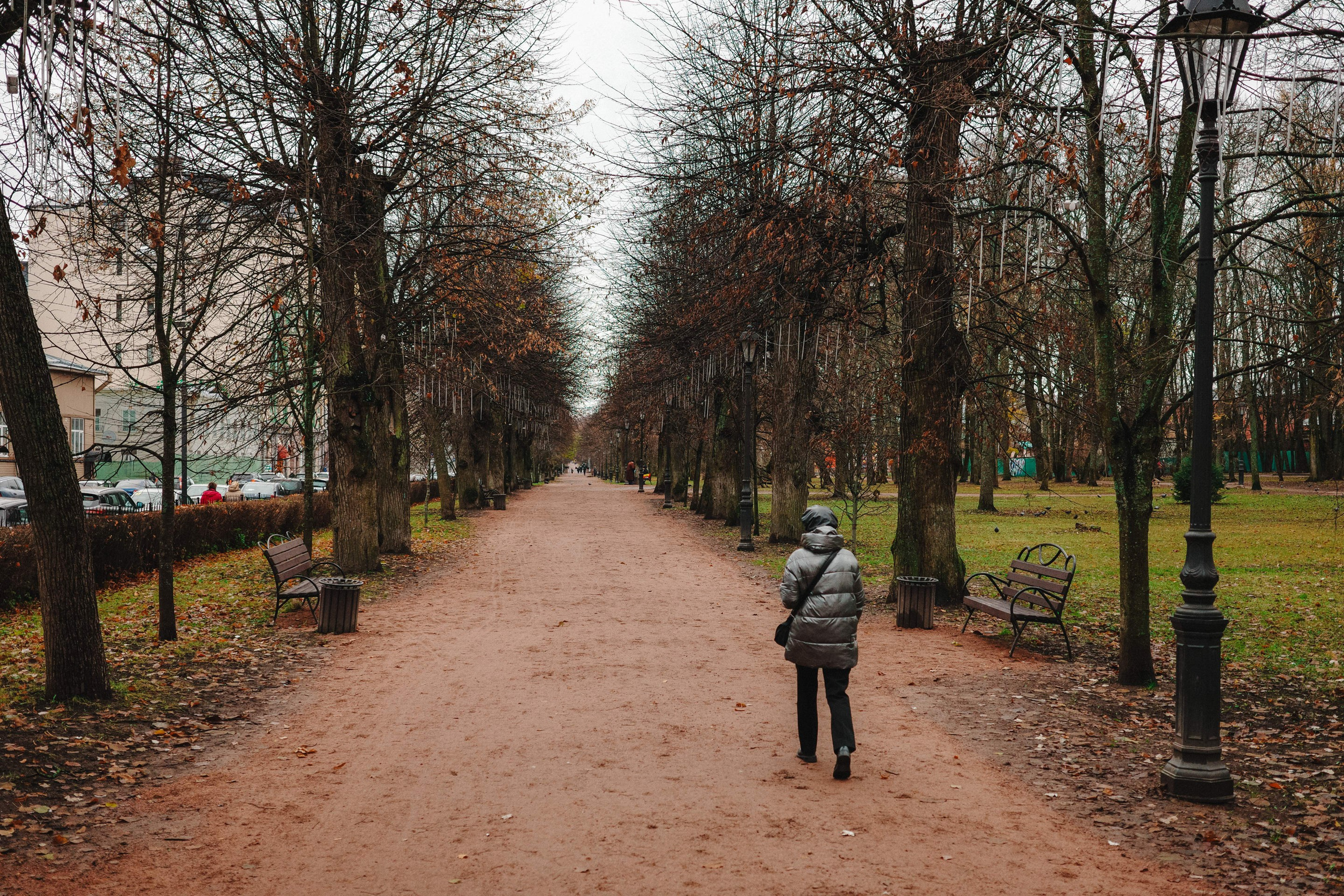 2024.11. Фотограф Алексей Алексеев