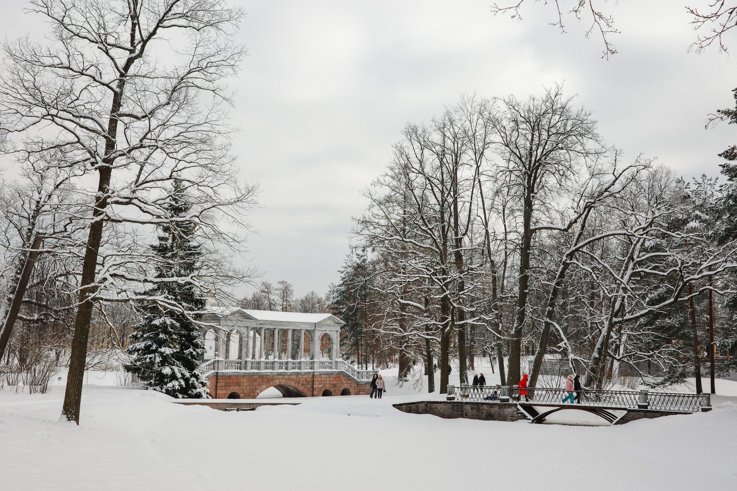 2025.02. Фотограф Алексей Алексеев