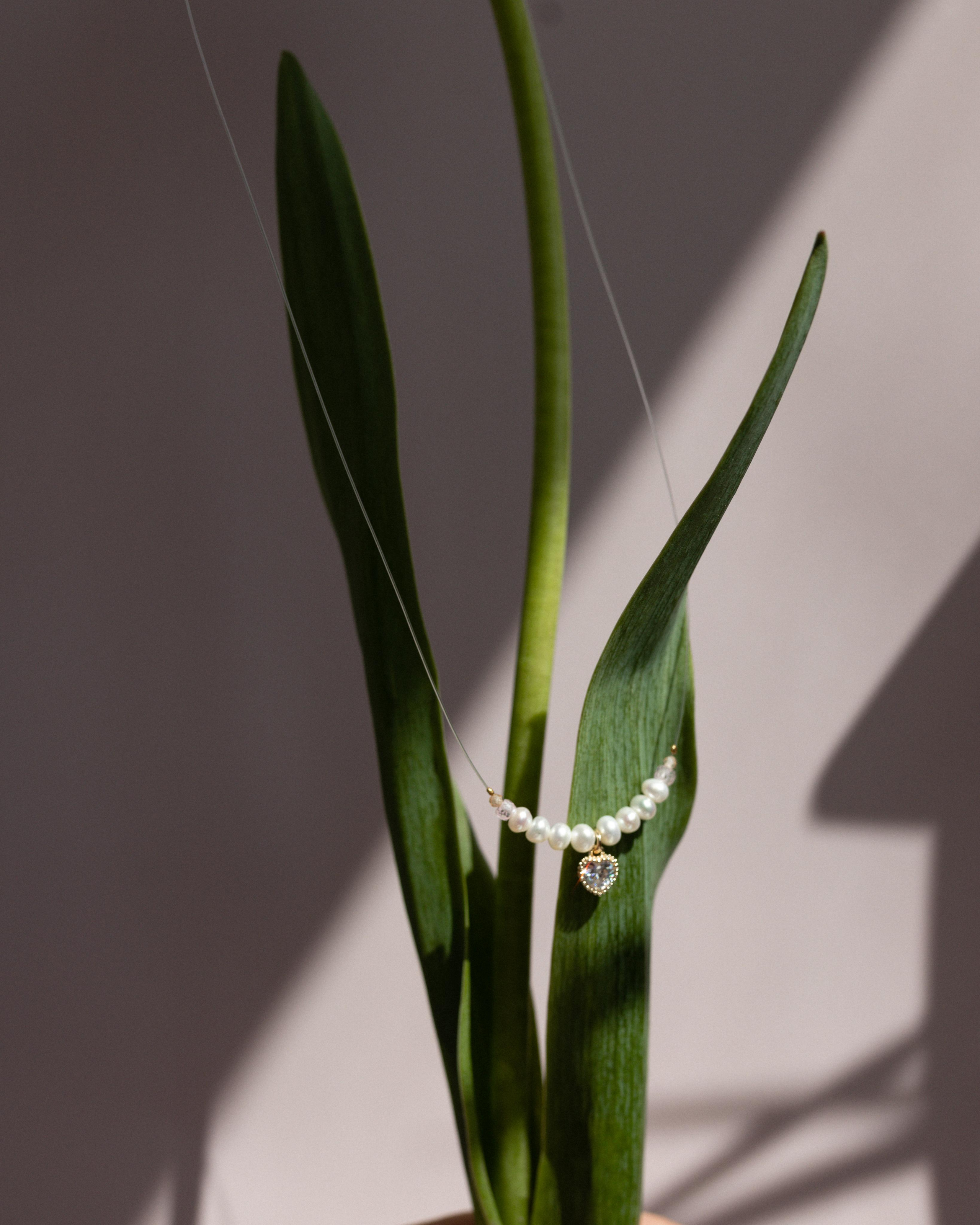 Kolibri Jewerly. Фотограф Краснодар Юлия Бураченко Свадьбы Репортаж Семейные Индивидуальные съемки