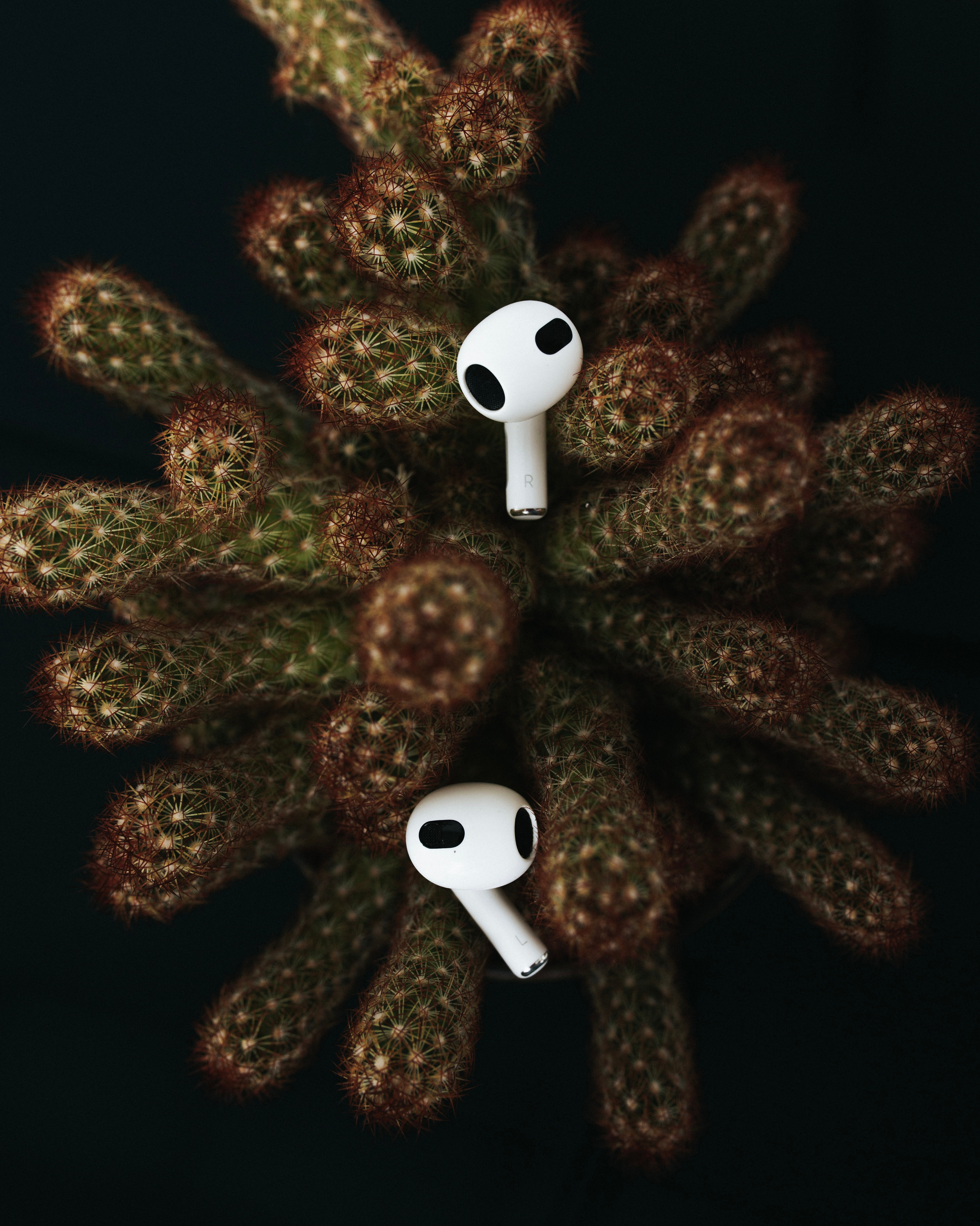 MyPhone Магазин техники. Фотограф Краснодар Юлия Бураченко Свадьбы Репортаж Семейные Индивидуальные съемки