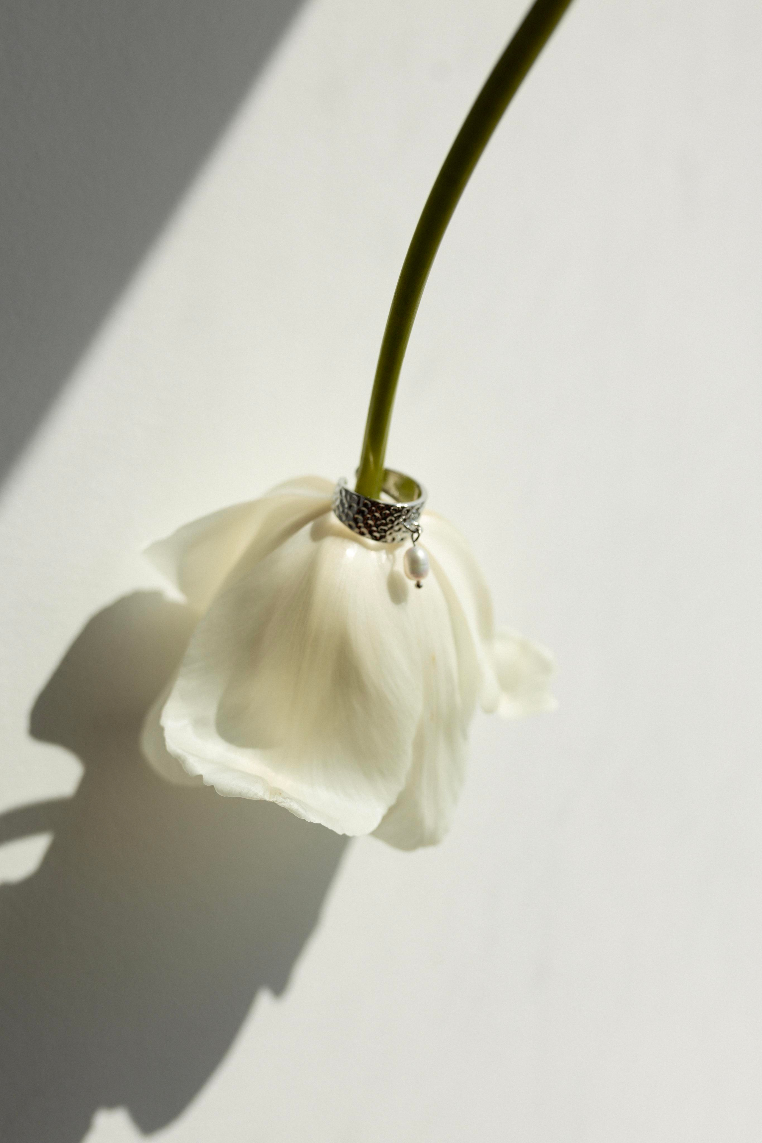 Kolibri Jewerly. Фотограф Краснодар Юлия Бураченко Свадьбы Репортаж Семейные Индивидуальные съемки