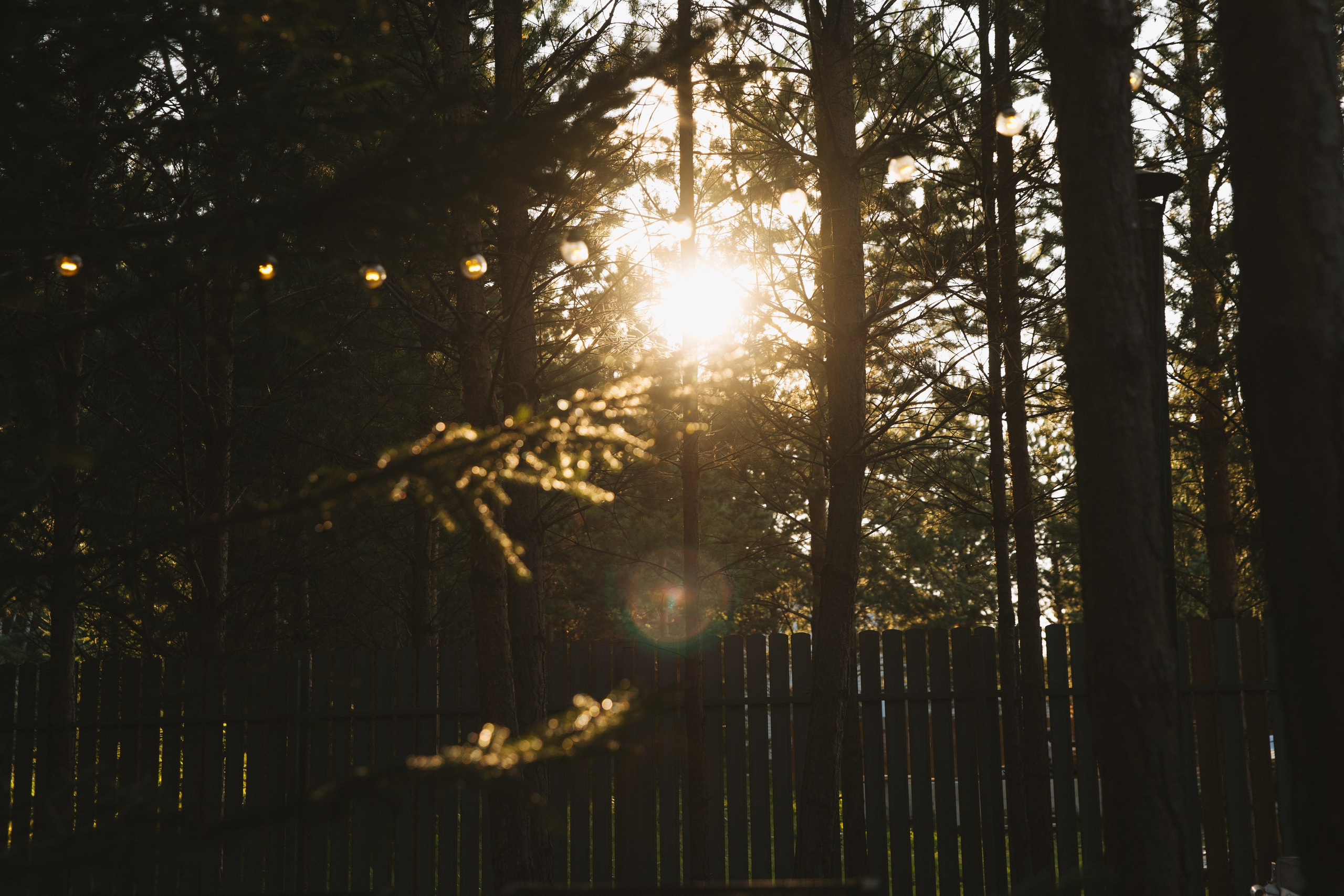 Y & A. Свадебный и семейный фотограф в Красноярске Абраменко Настя