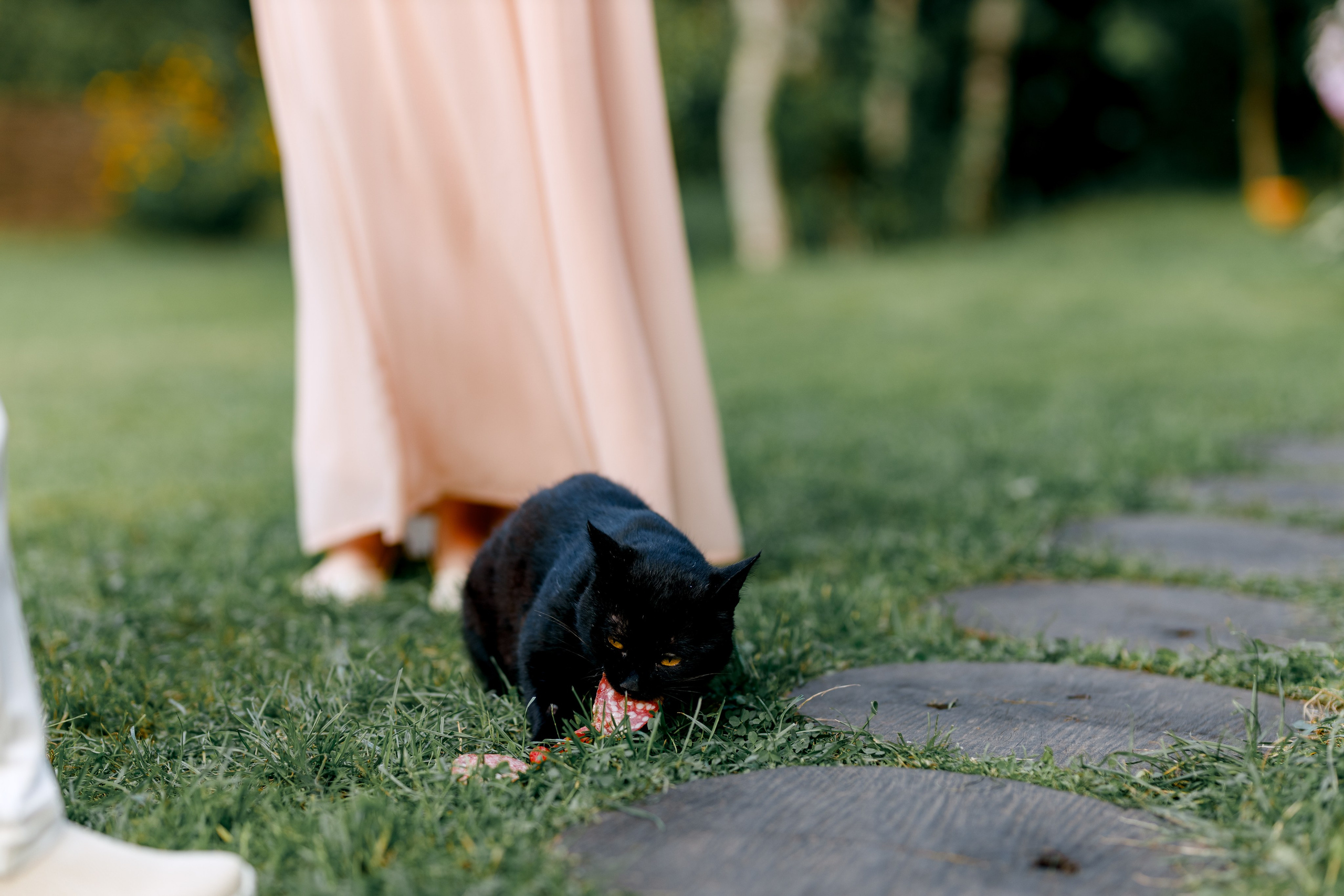 Валентин и Анастасия. Свадебный и семейный фотограф в Туле и области Маша Костина