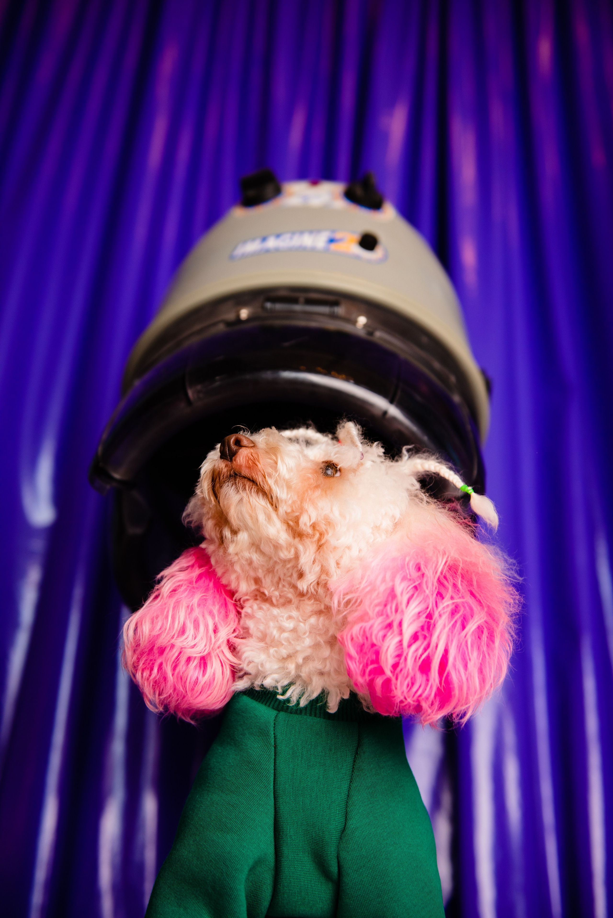 Pets. Фотограф в Москве Daria Lens