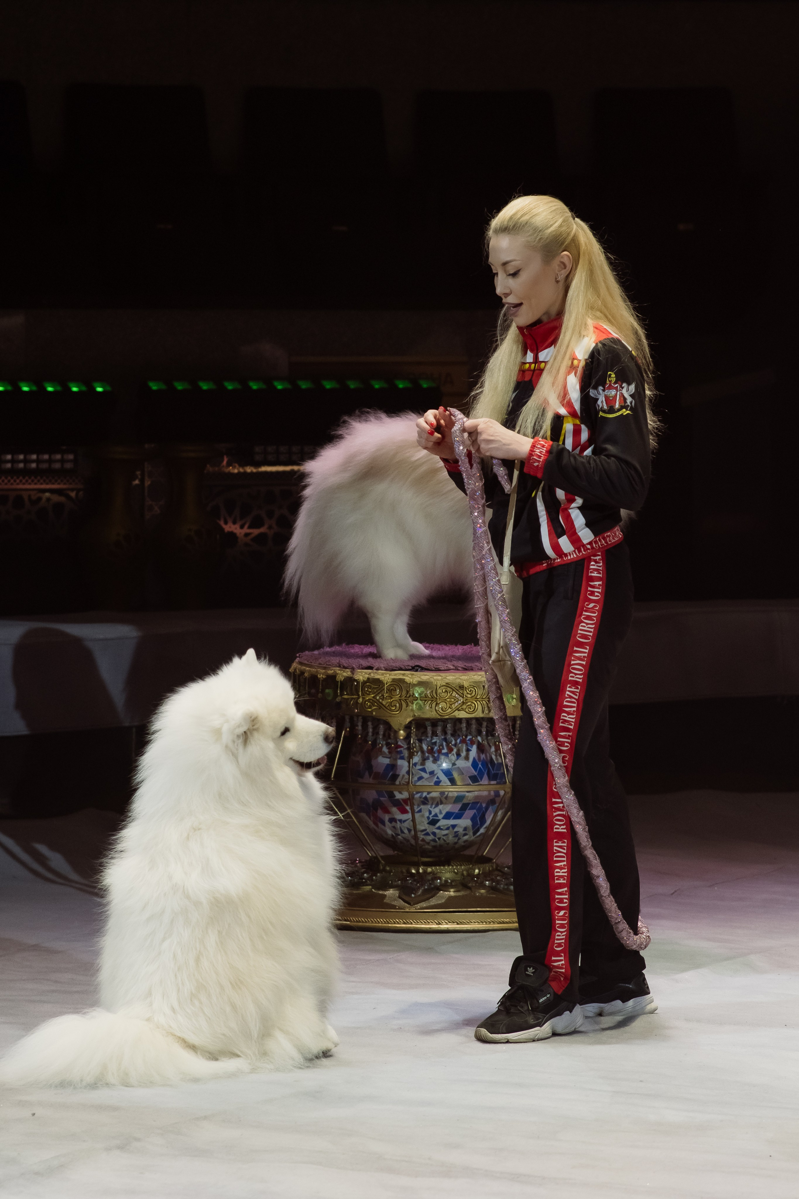 Репортаж. Фотограф Новосибирск Анна Рождественская