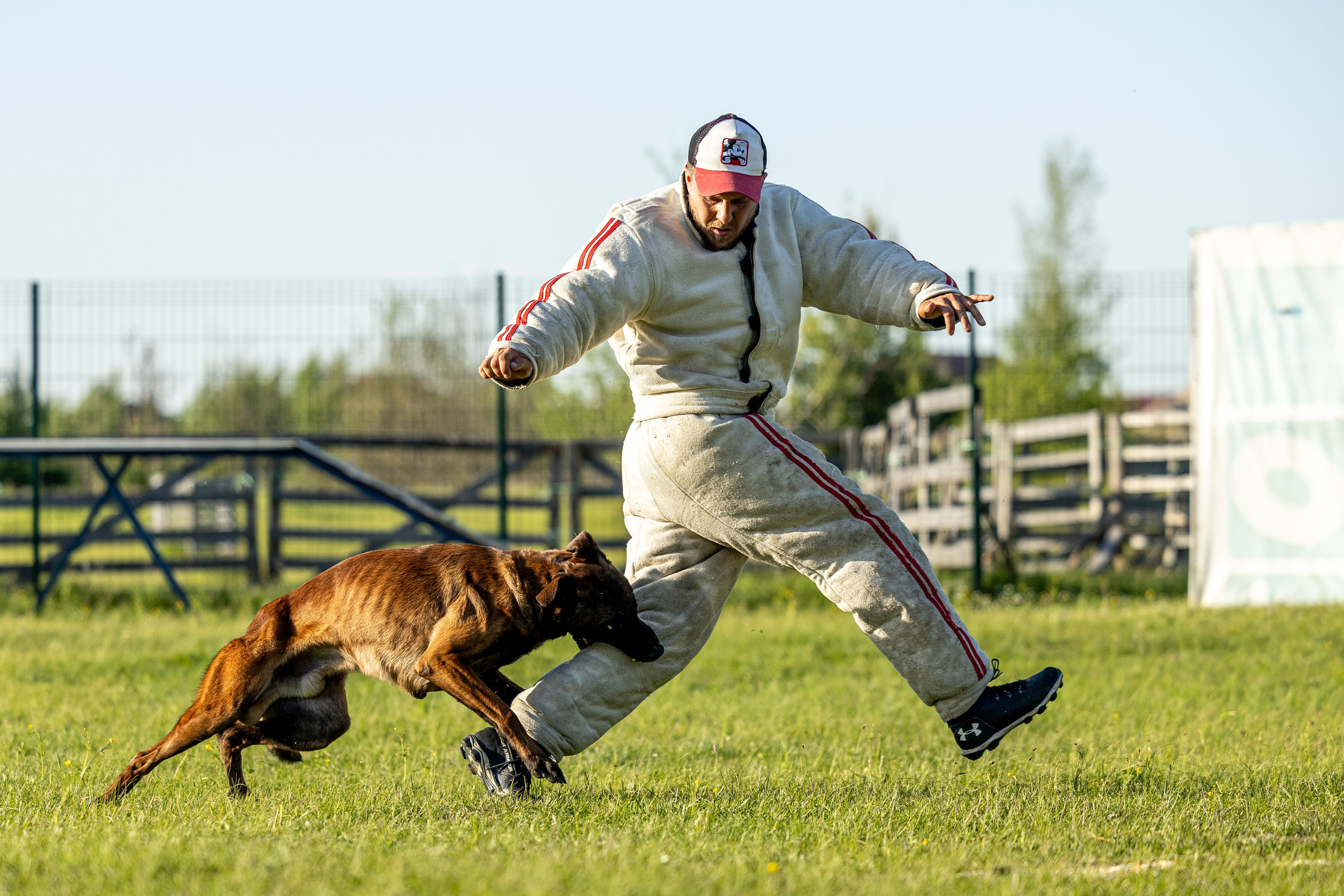 Испытания по мондьорингу в Нижнем Новгороде. Фотограф-анималист Анна Маринич
