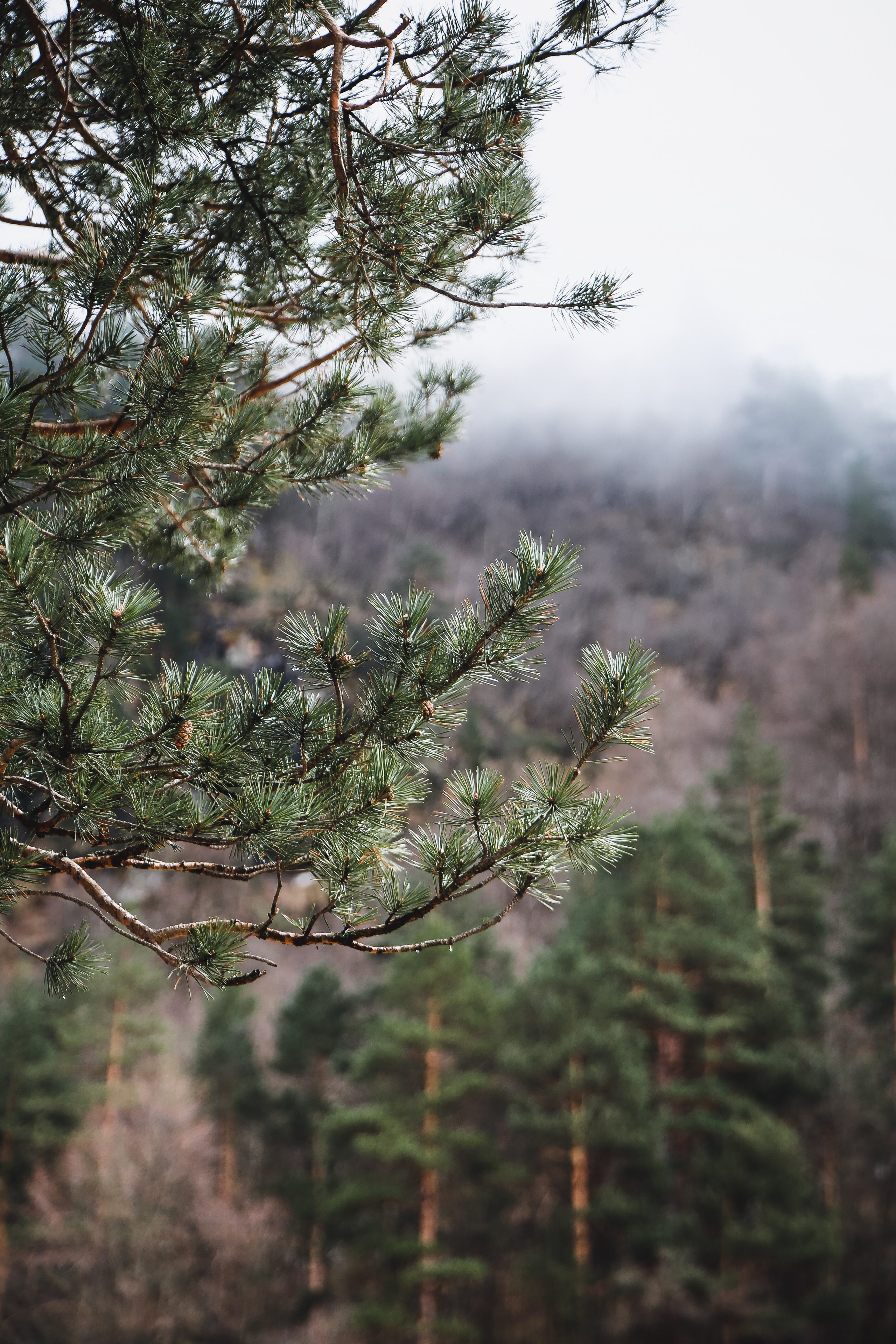 Кавказ: Северная Осетия. Дарья Письменюк / Darya Leitstern — фотограф, музыкант, журналист, путешественник