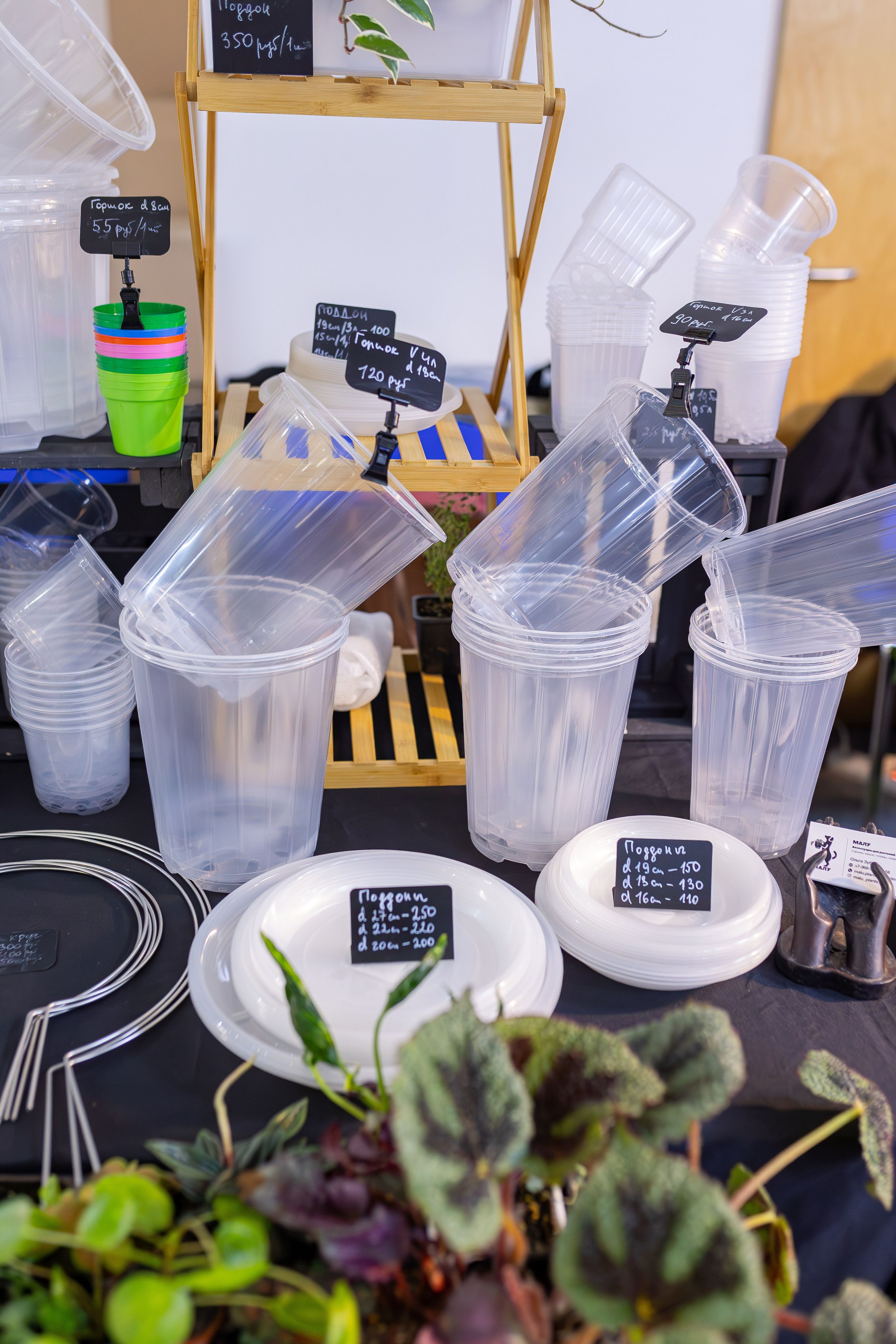 Орхидиум 12.2025. Александра Куликова фотограф, Москва