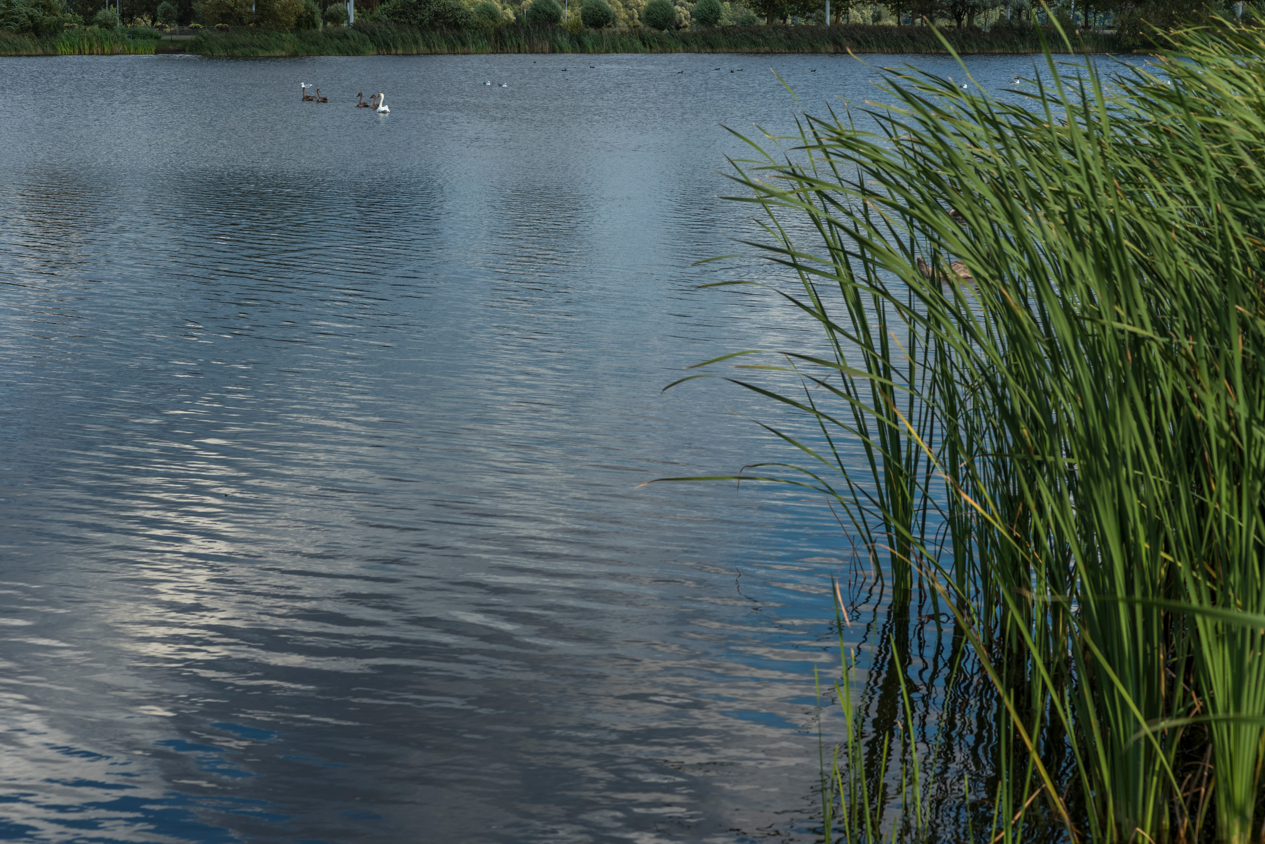 Празднование Крещения Мирона. Фотограф Крещения и Венчания. Минск и другие города. Почтенная Наташа