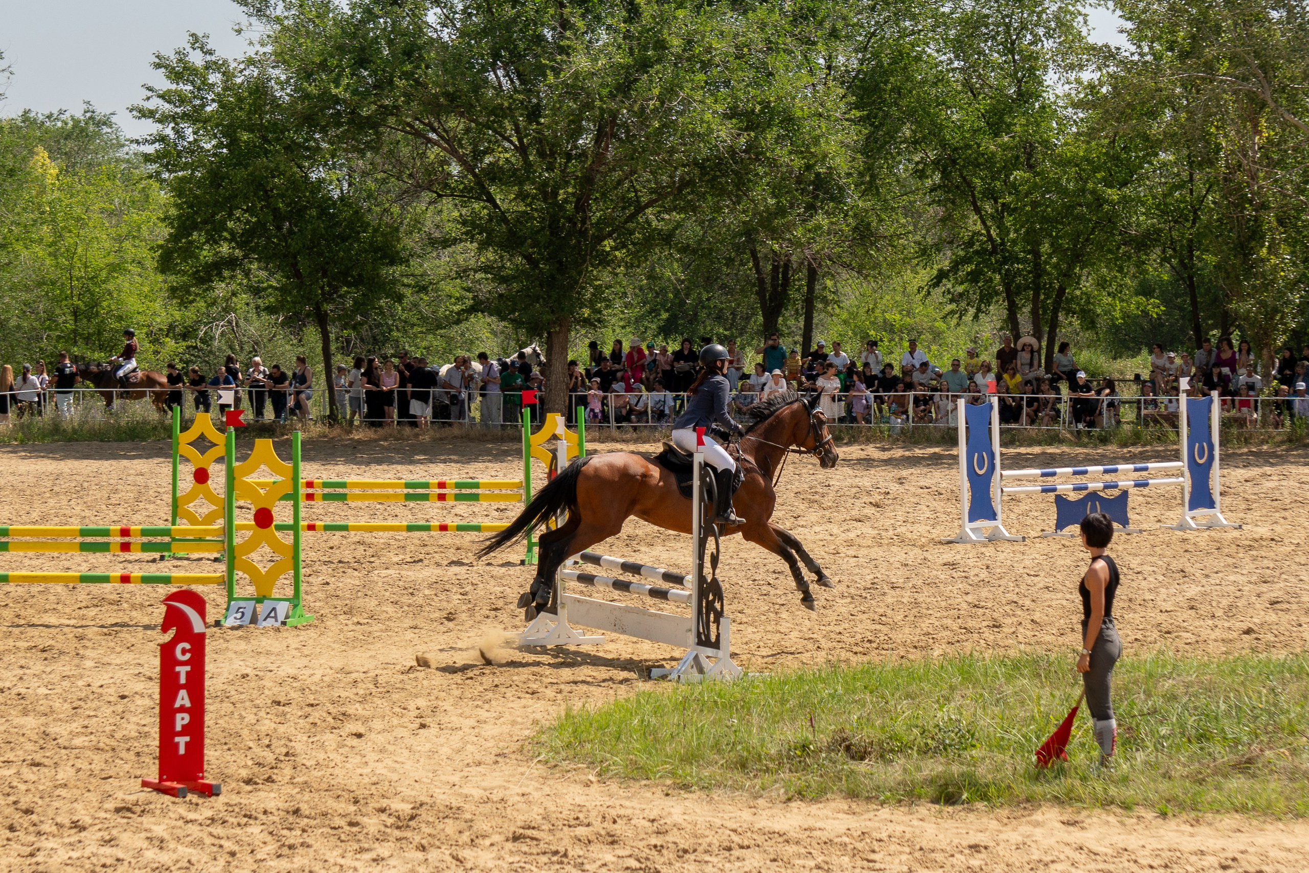 Соревнования по конкуру, Луганск. Фотограф в РФ и ЛНР Юлия Федосеева