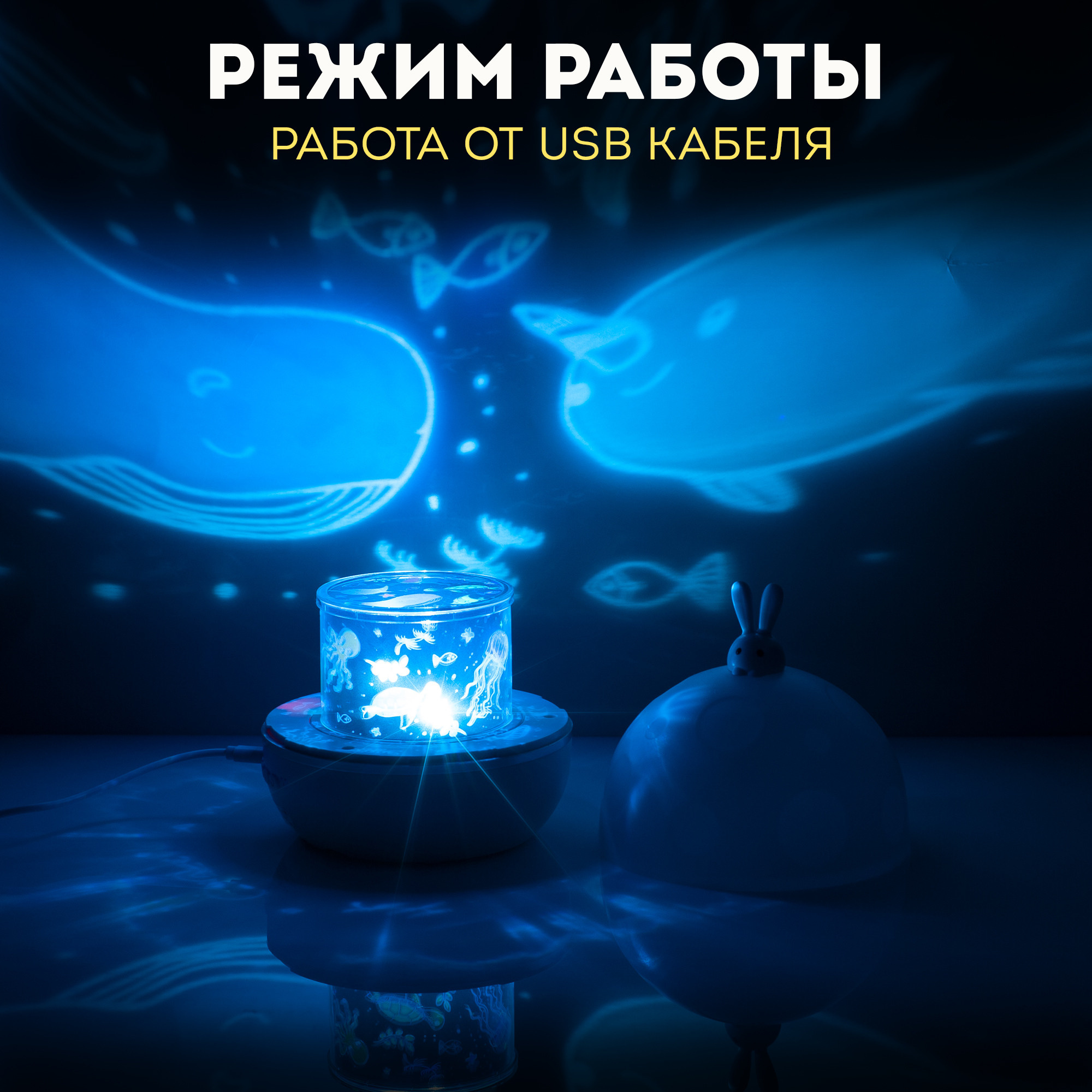 Ночник-проектор. Рекламный фотограф в Санкт-Петербурге Петр Дорошенко