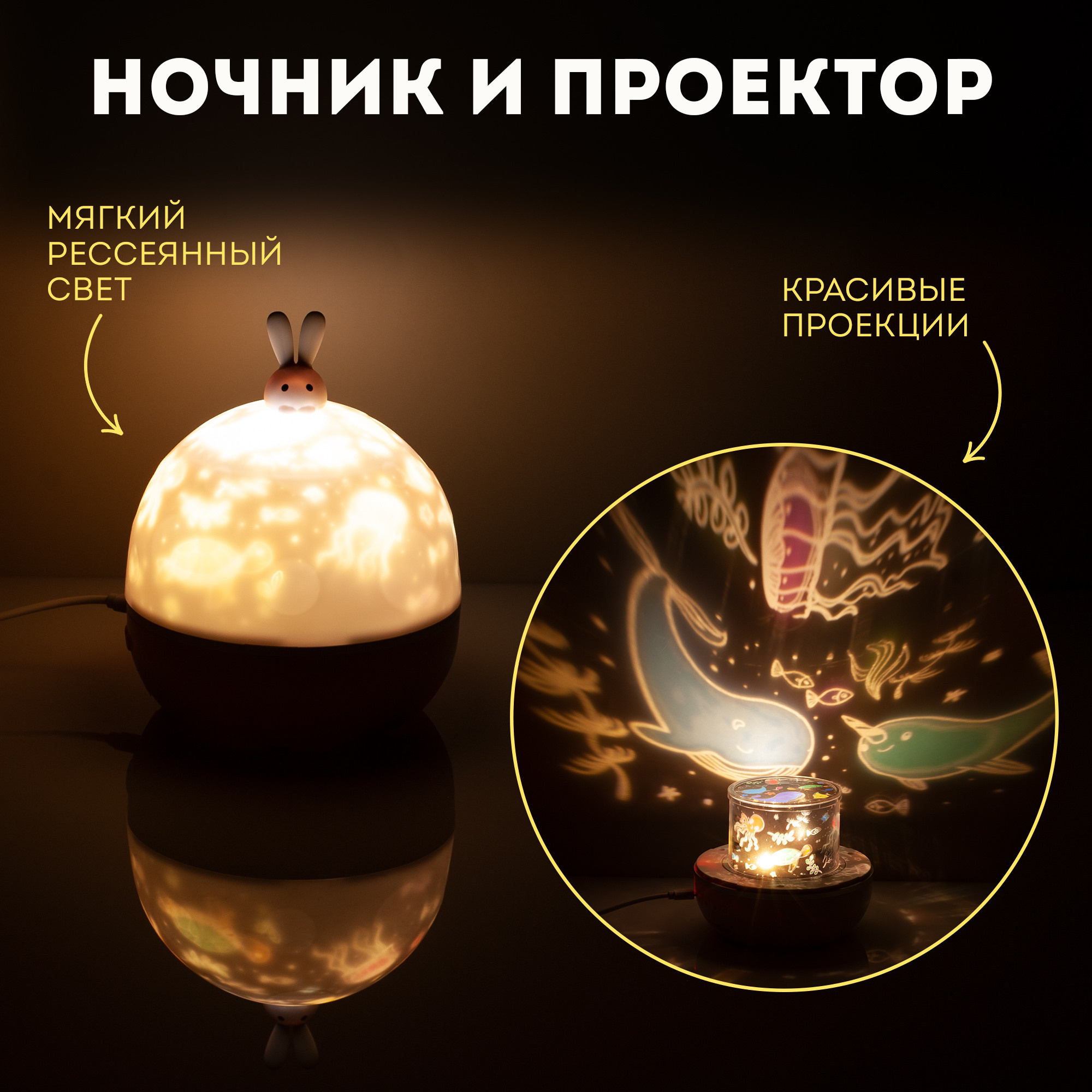 Ночник-проектор. Рекламный фотограф в Санкт-Петербурге Петр Дорошенко