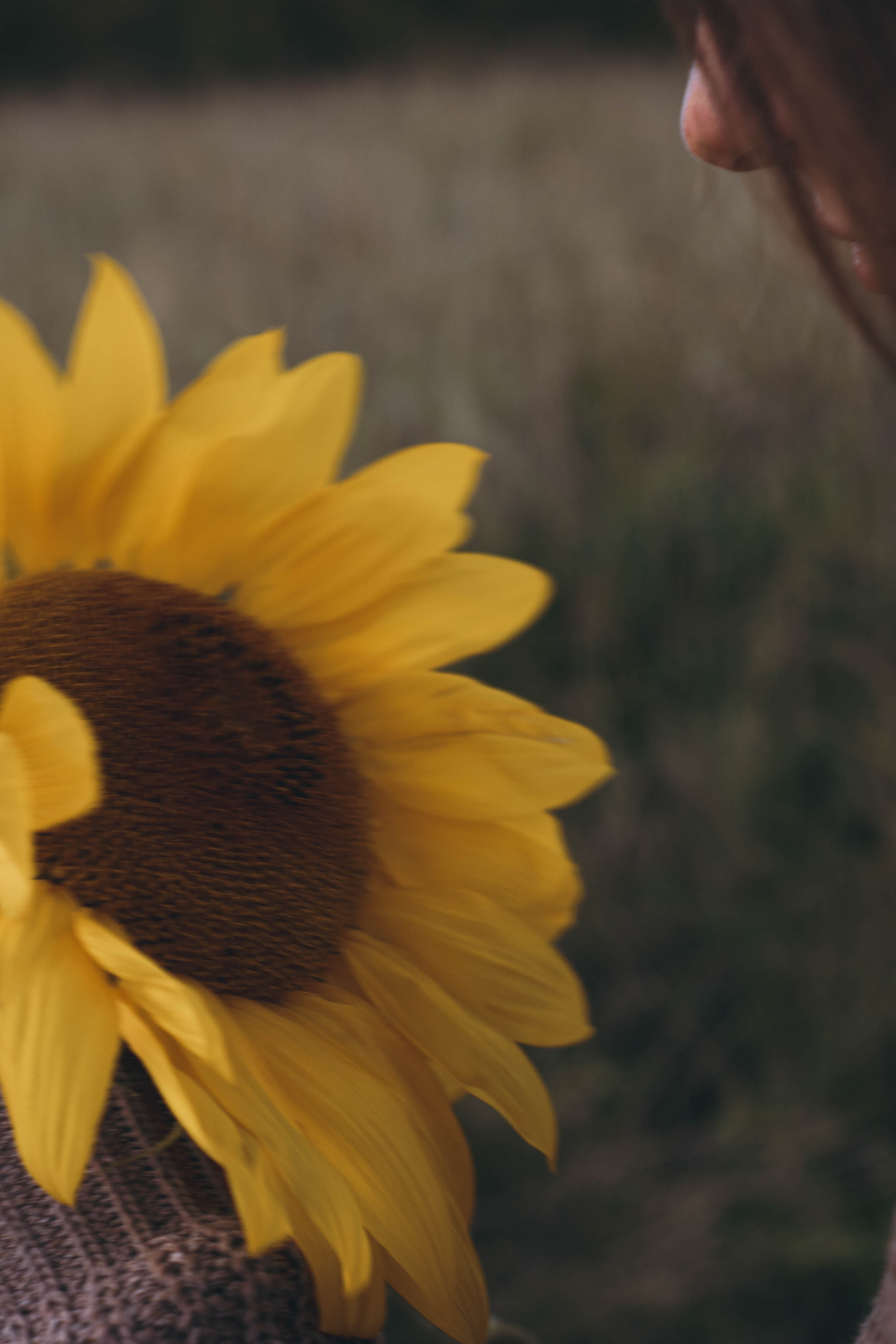Семейная серия. Профессиональный фотограф, Санкт-Петербург — Виктория Богомолова