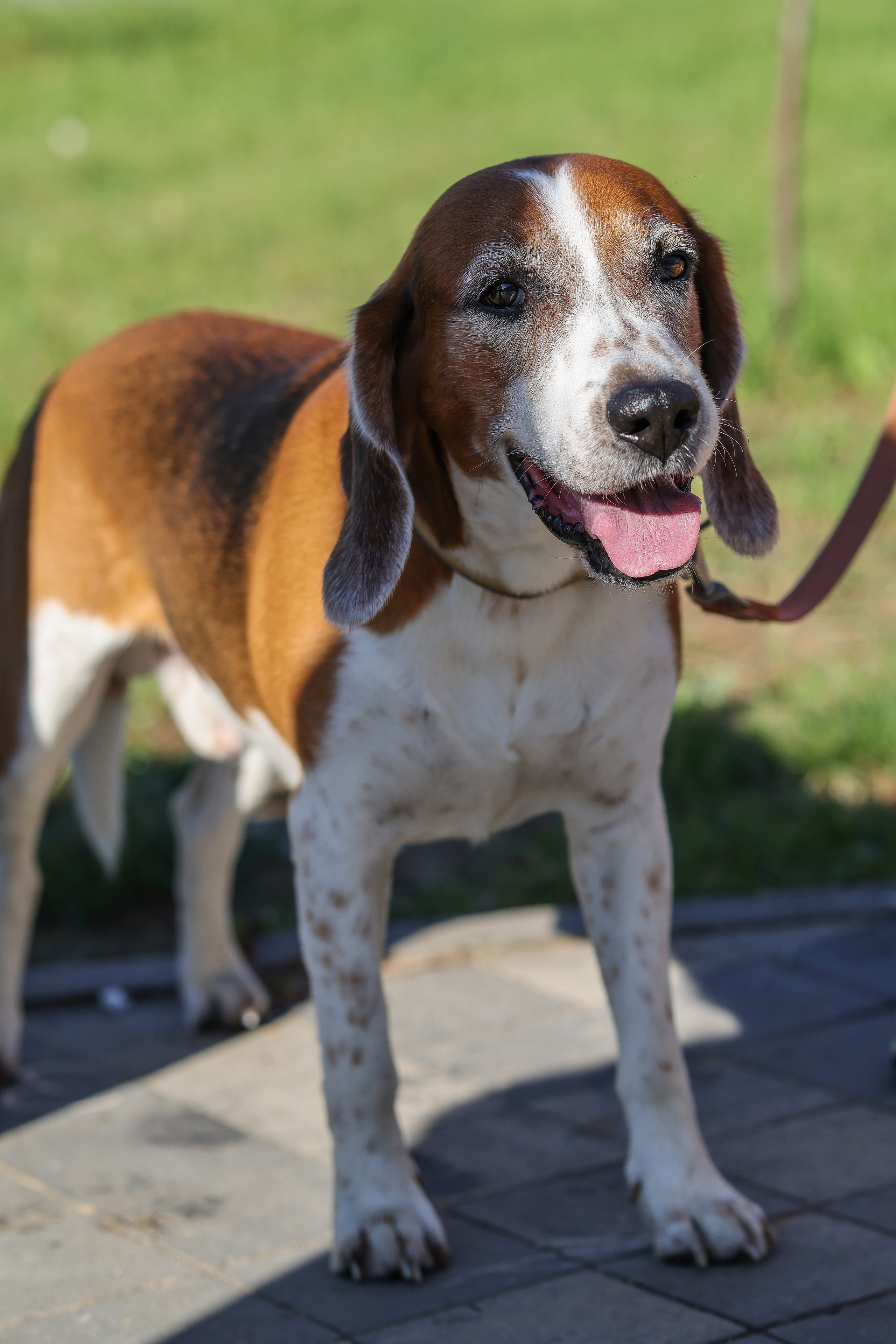 5 вёрст Пушкино Серебрянка, 06.09.25. Фотограф Сергей Ловкий