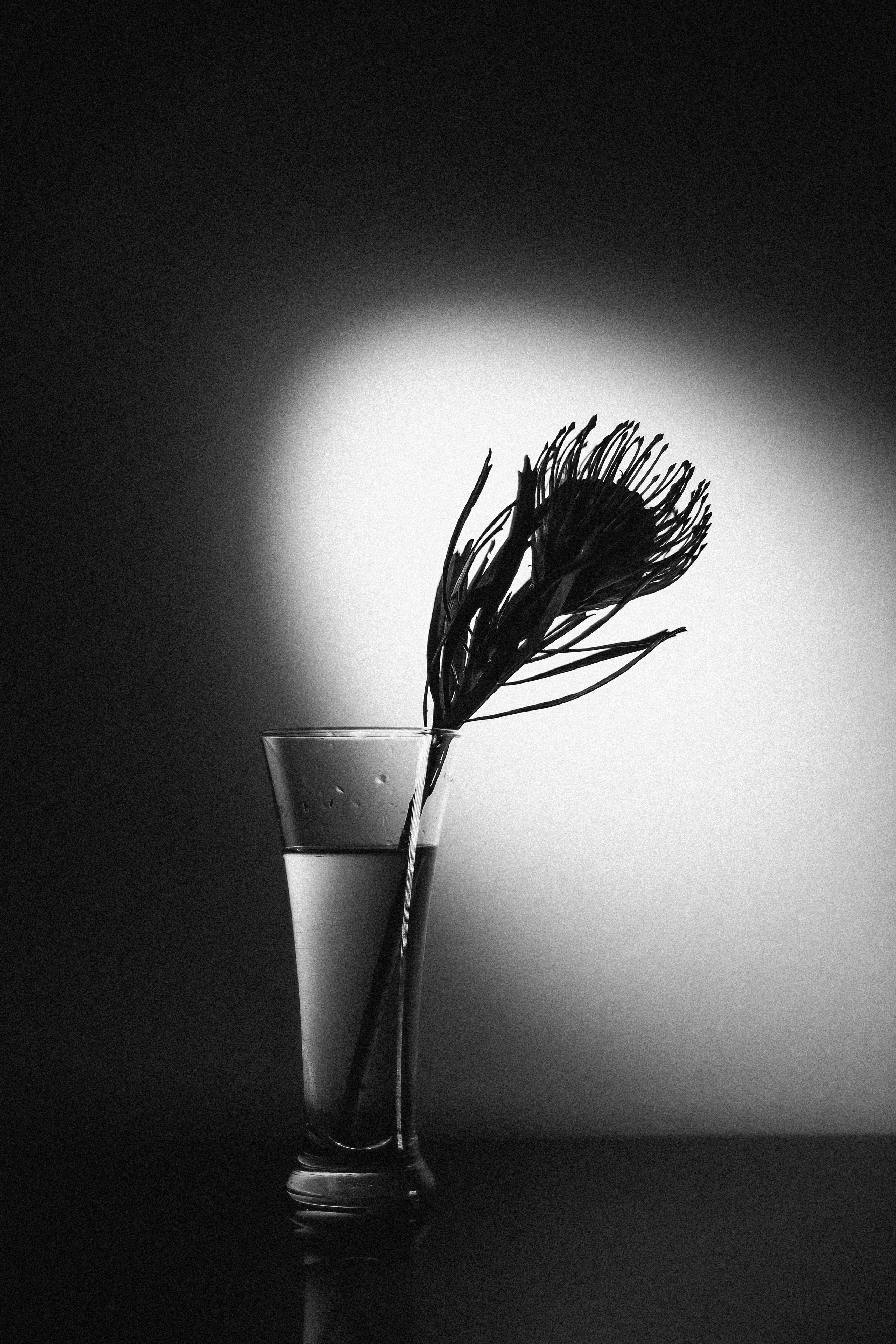 B'n'W. Фотограф в Москве Десятова Ксения