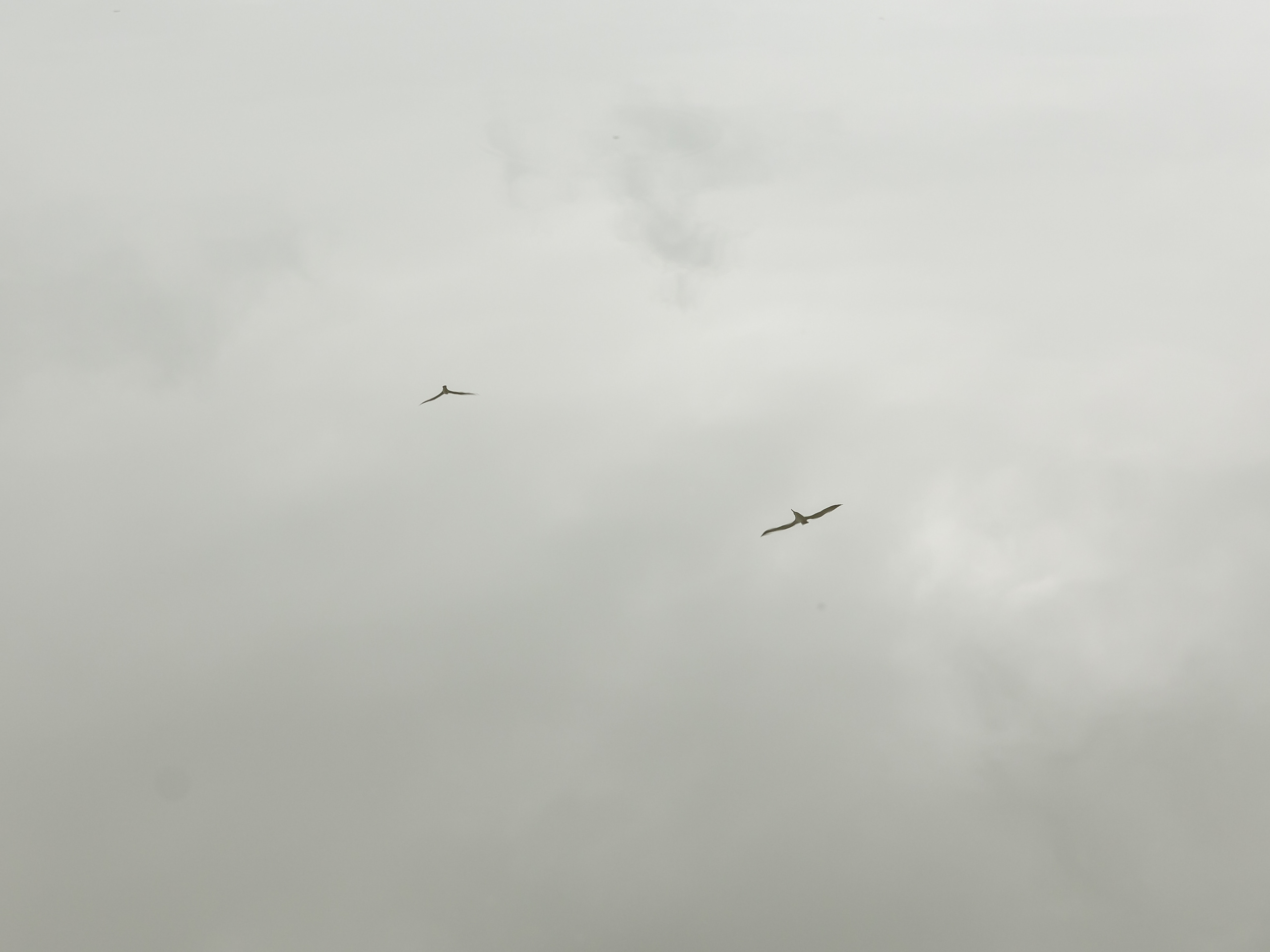 Wedding day Саркиз и Мария. Свадебный фотограф Колесников Антон