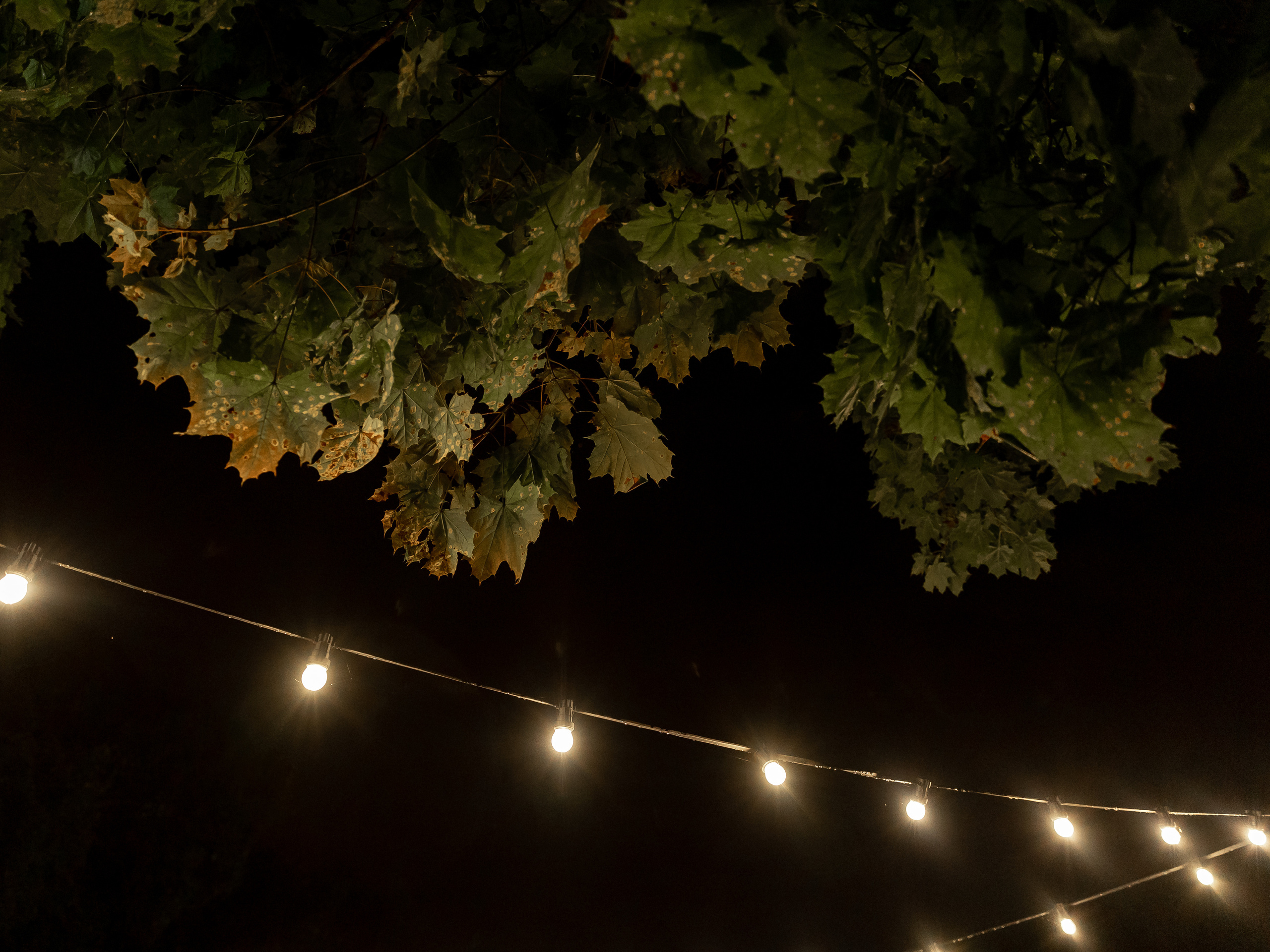 Wedding day Саркиз и Мария. Свадебный фотограф Колесников Антон