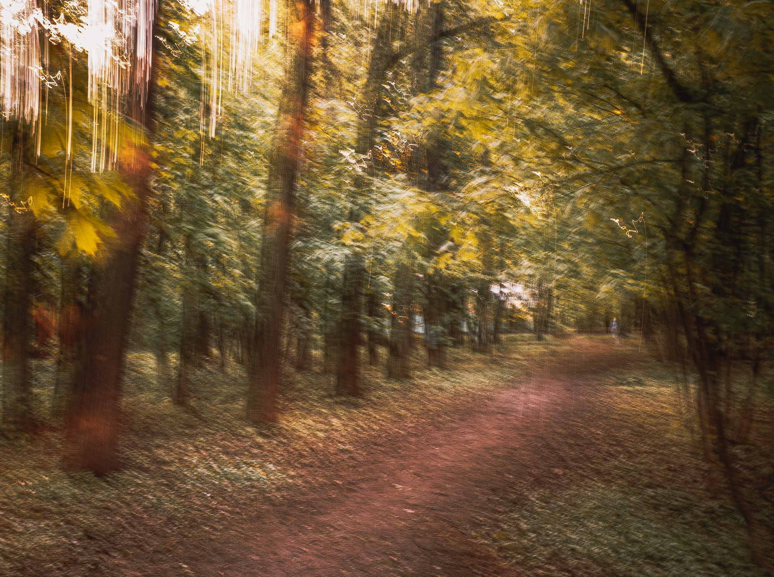 Импрессионизм. Сайт московского фотографа Дениса Иванова