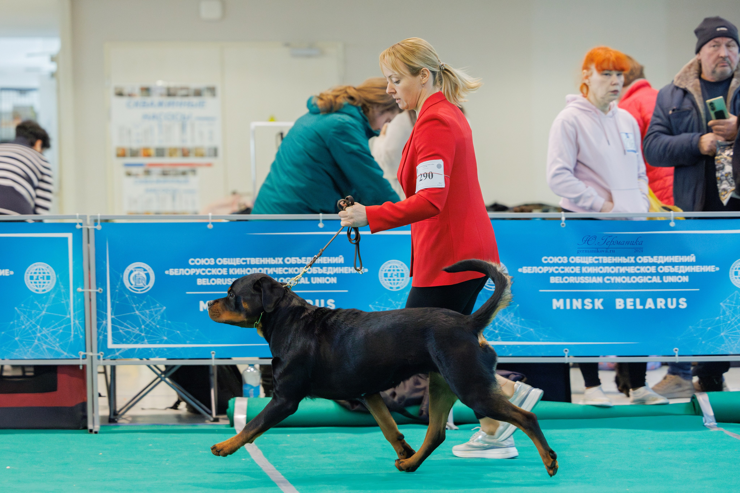 Минск 23.11.2024. Фотограф-анималист Юлия Германика