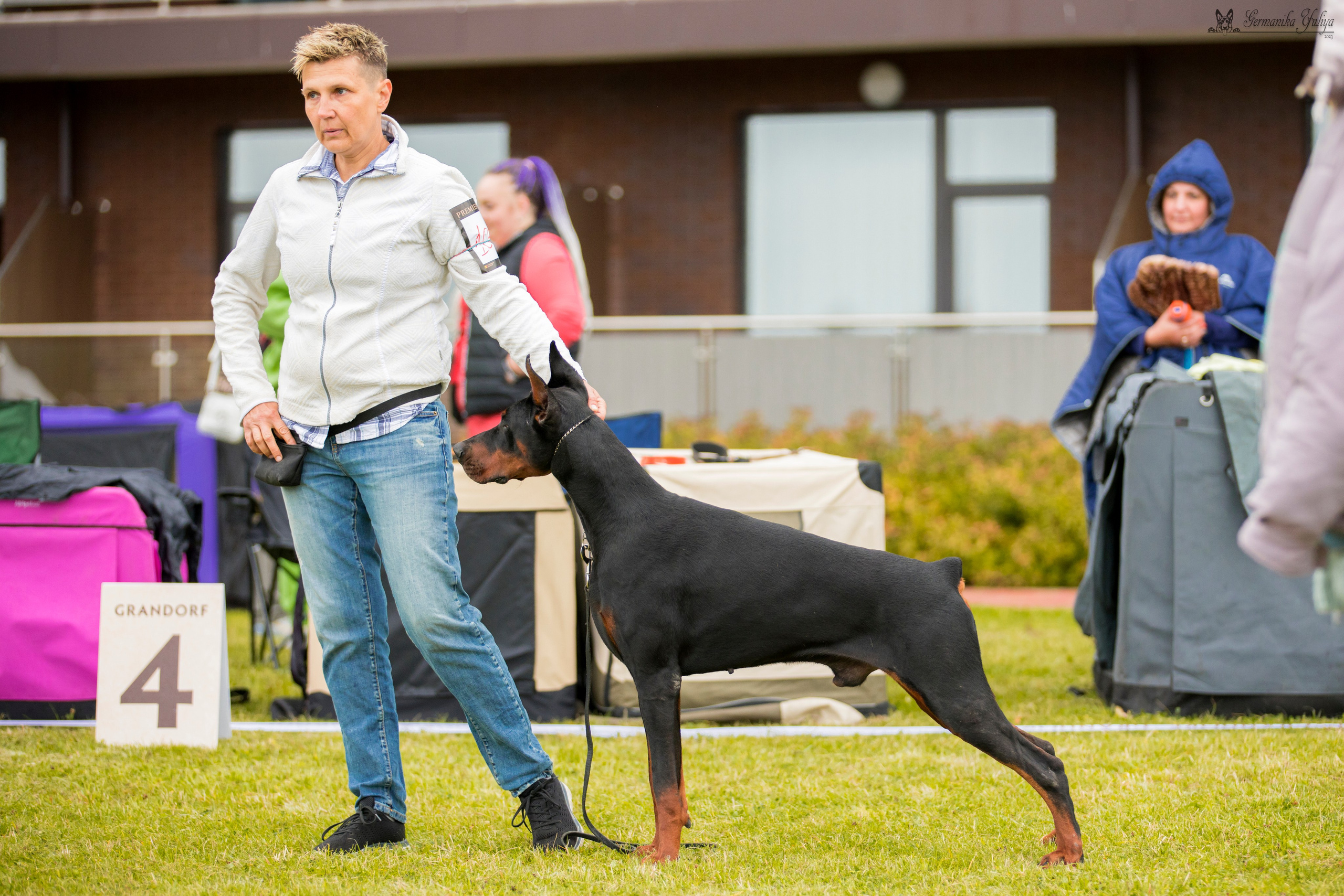 Переславль 9-10.09.2023. Фотограф-анималист Юлия Германика