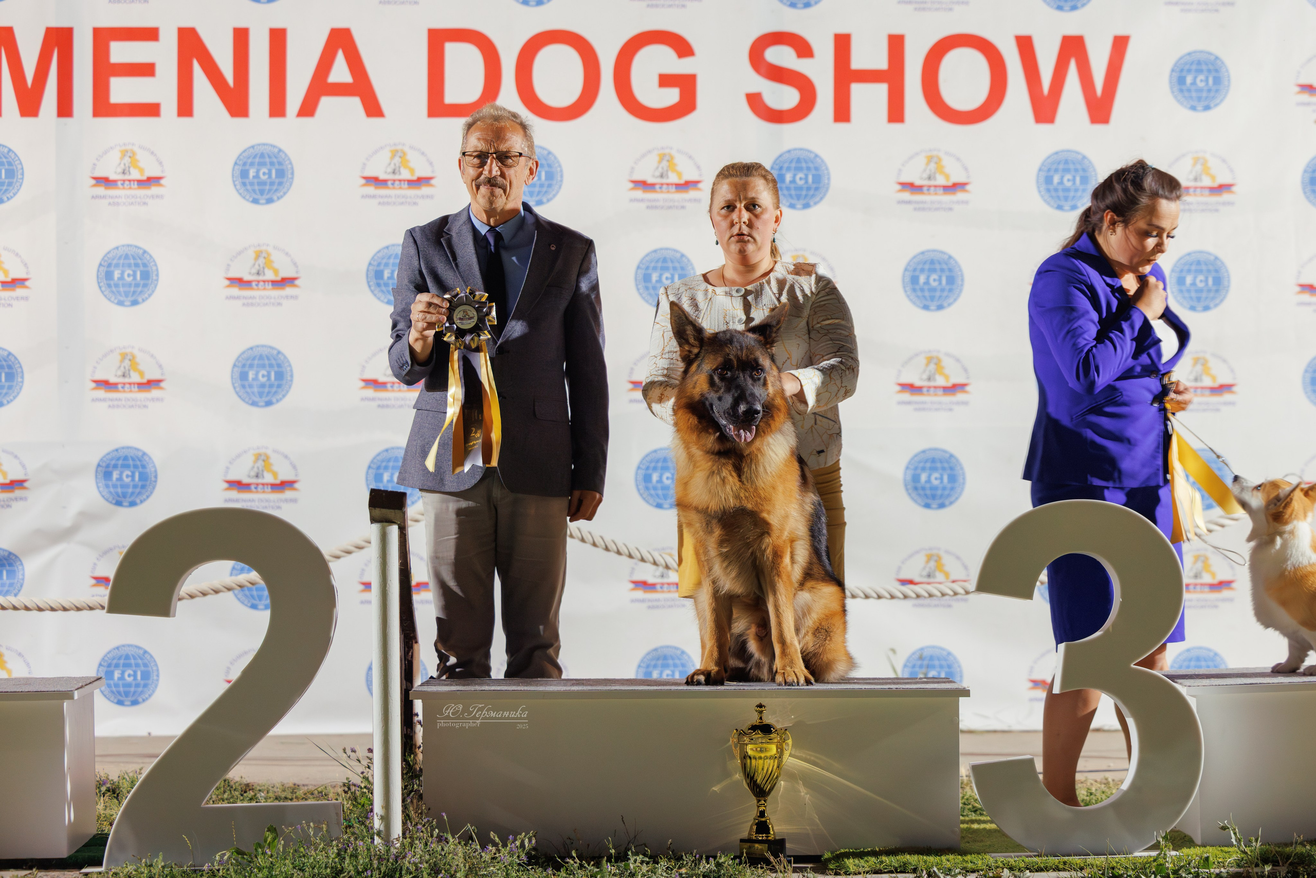 Ереван 3хCACIB 23-25.06.2025. Фотограф-анималист Юлия Германика