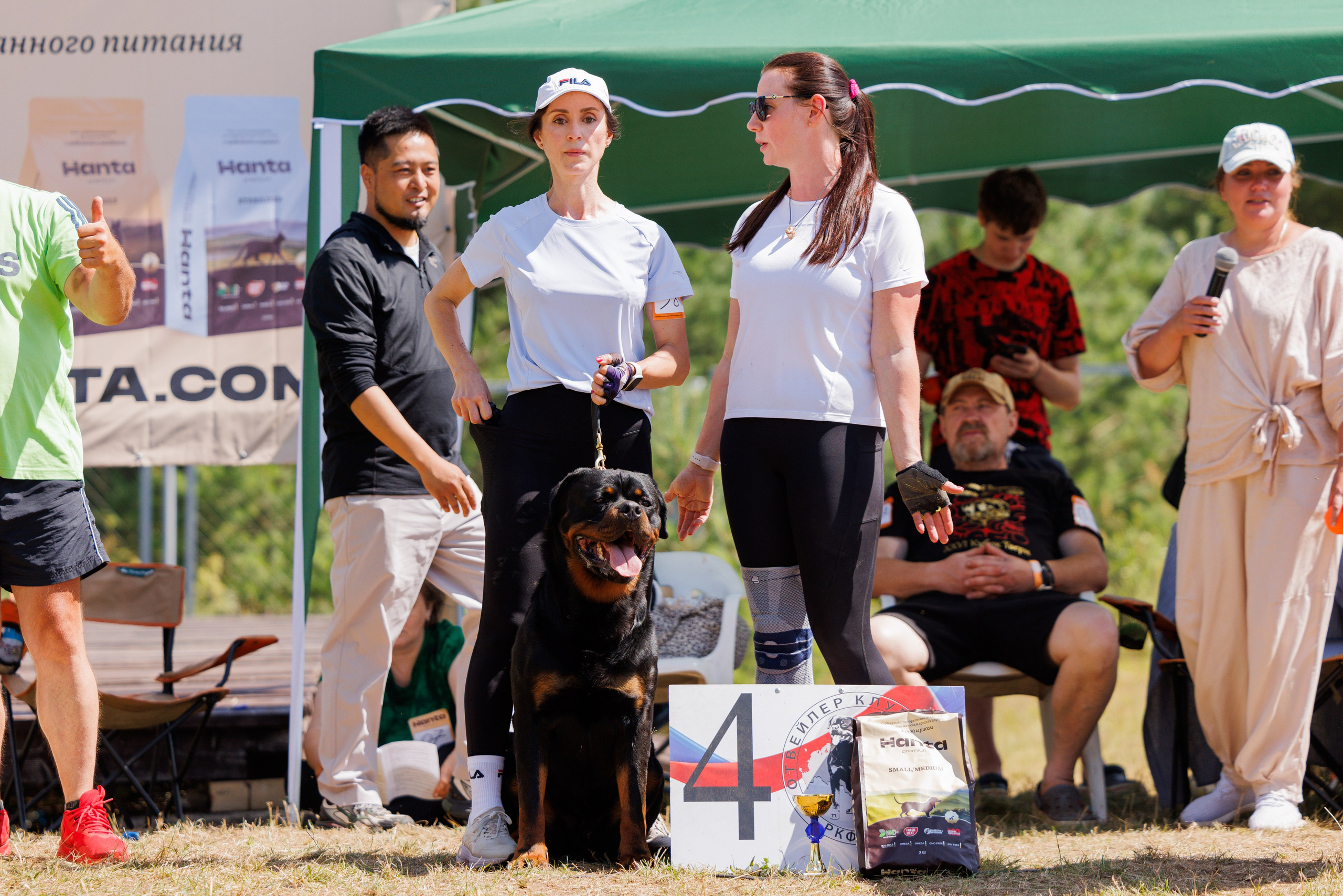 ПК и КЧК ротвейлеры Тверь 6-7.07.2024. Фотограф-анималист Юлия Германика