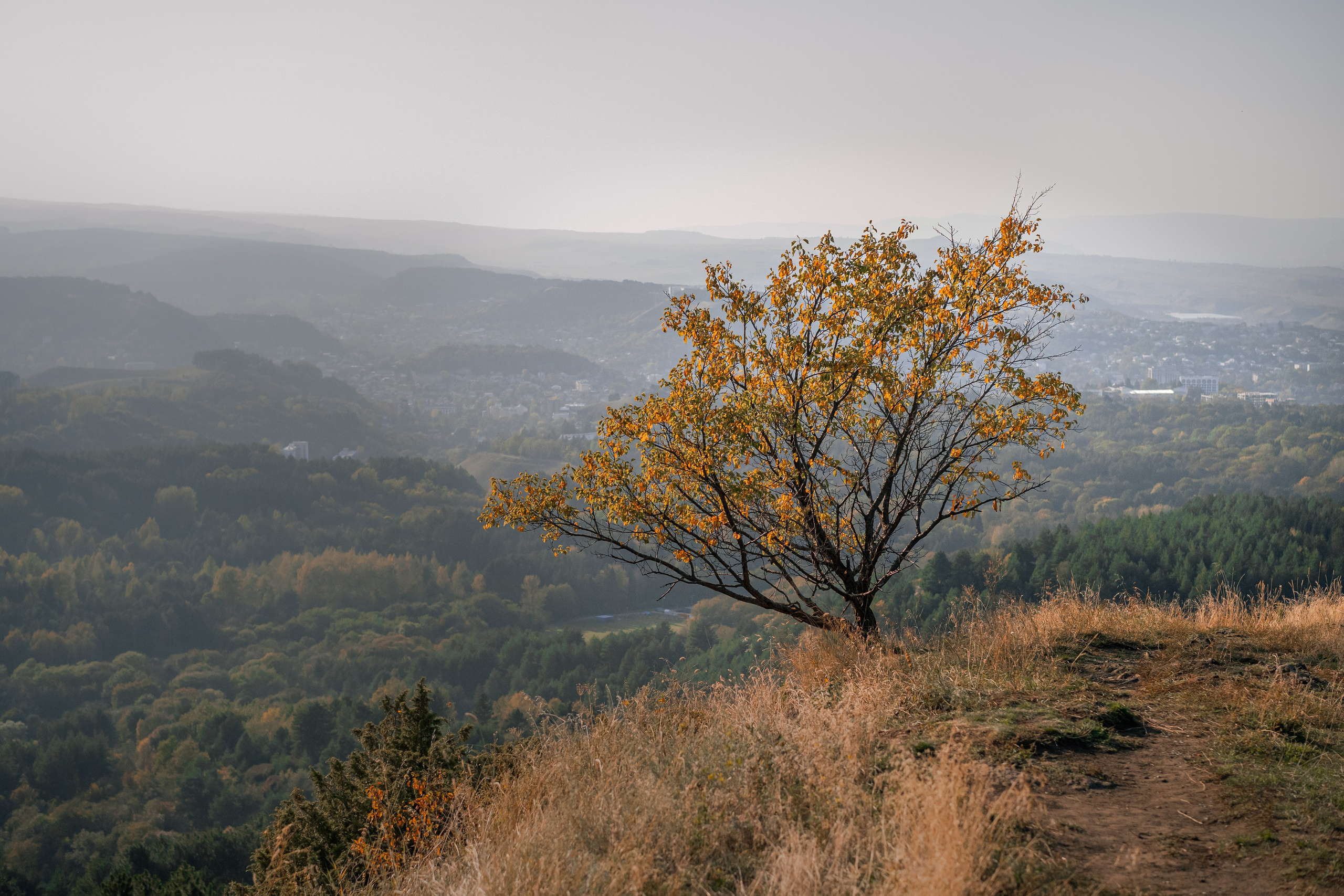Кисловодск, терренкуры национального парка. Юля Дэй • Фотограф, Санкт-Петербург