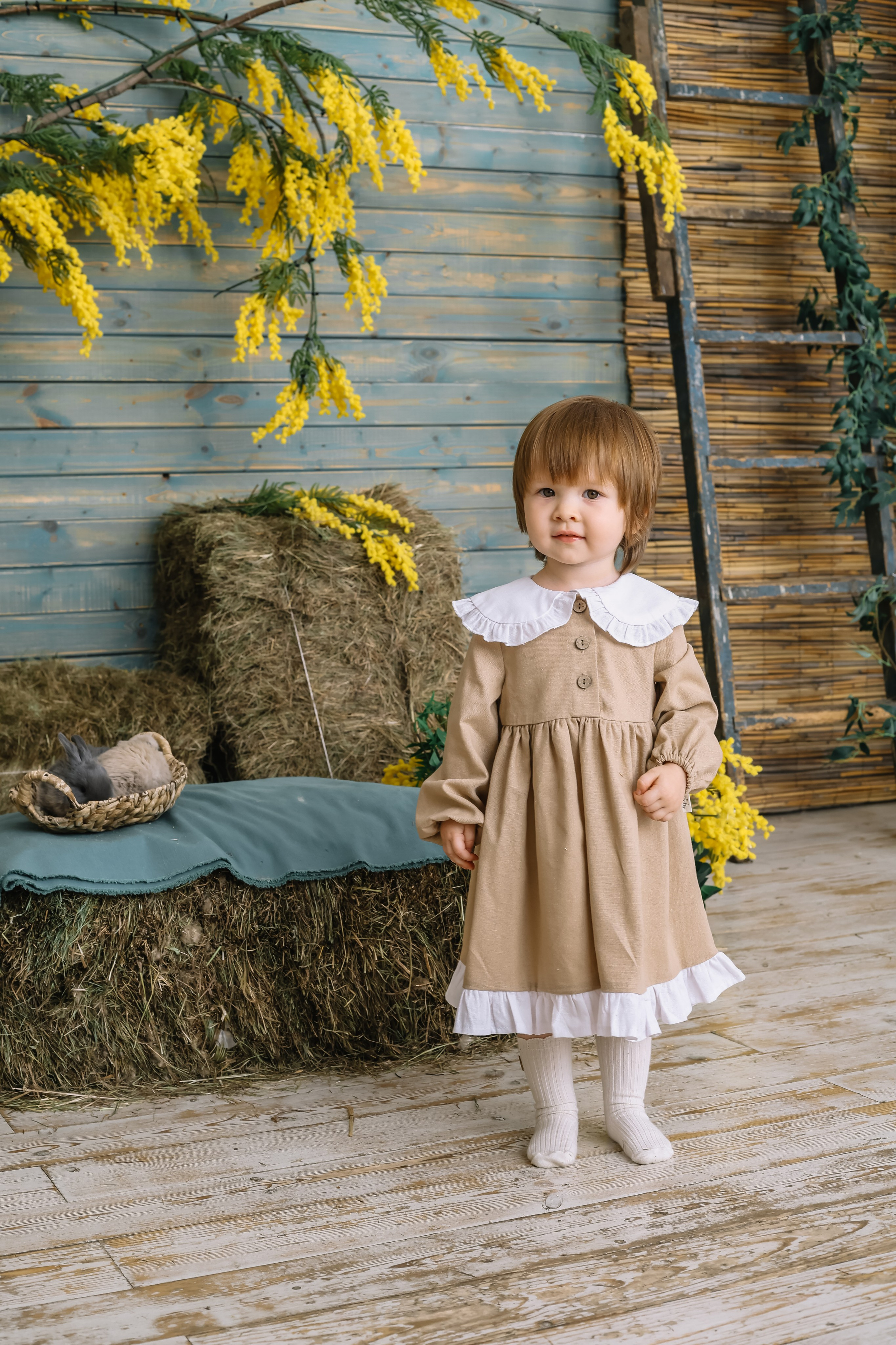 Утята. Фотограф и видеограф Анна Домашенко