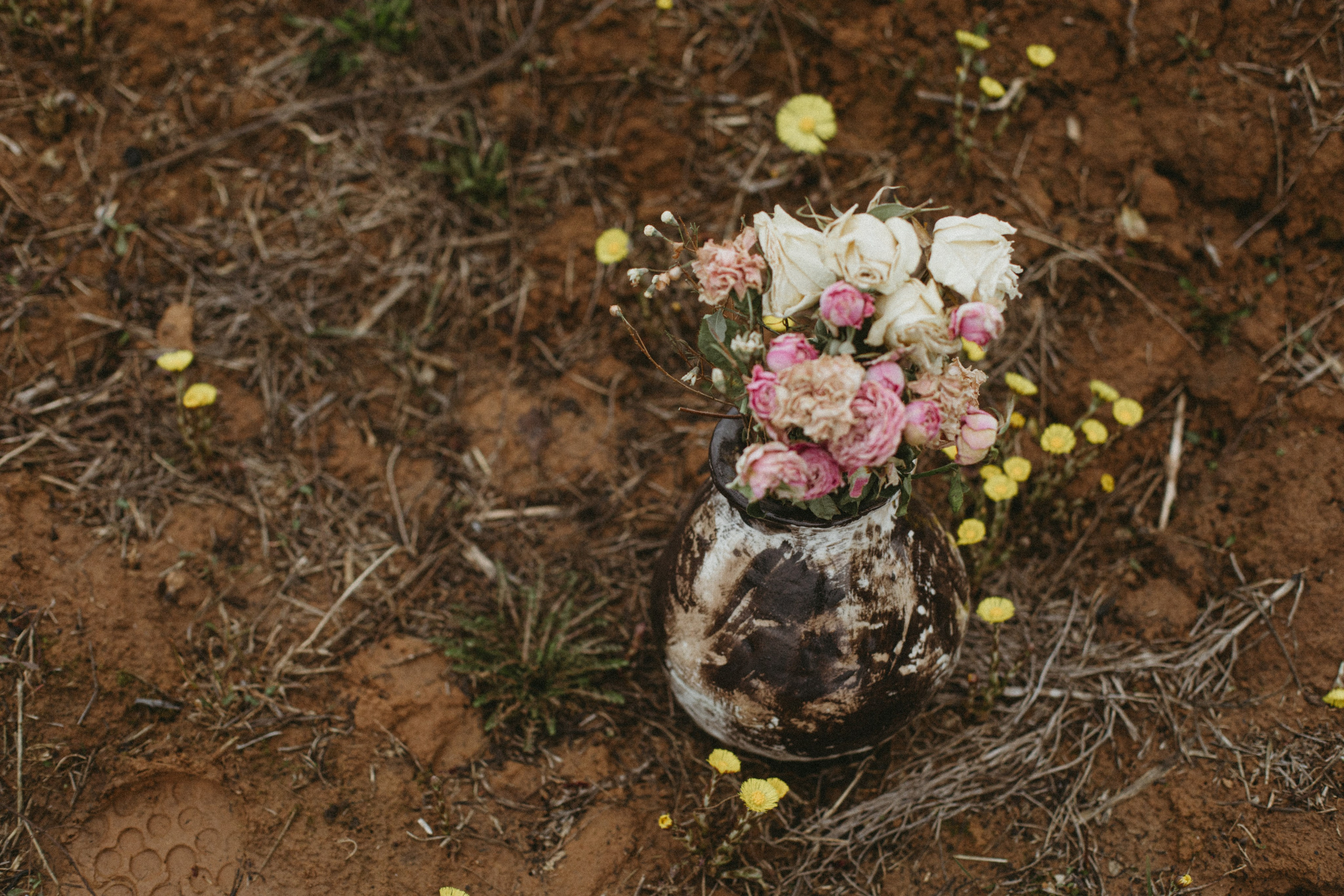 Ваза Лора. Фотограф Эльмира Лин