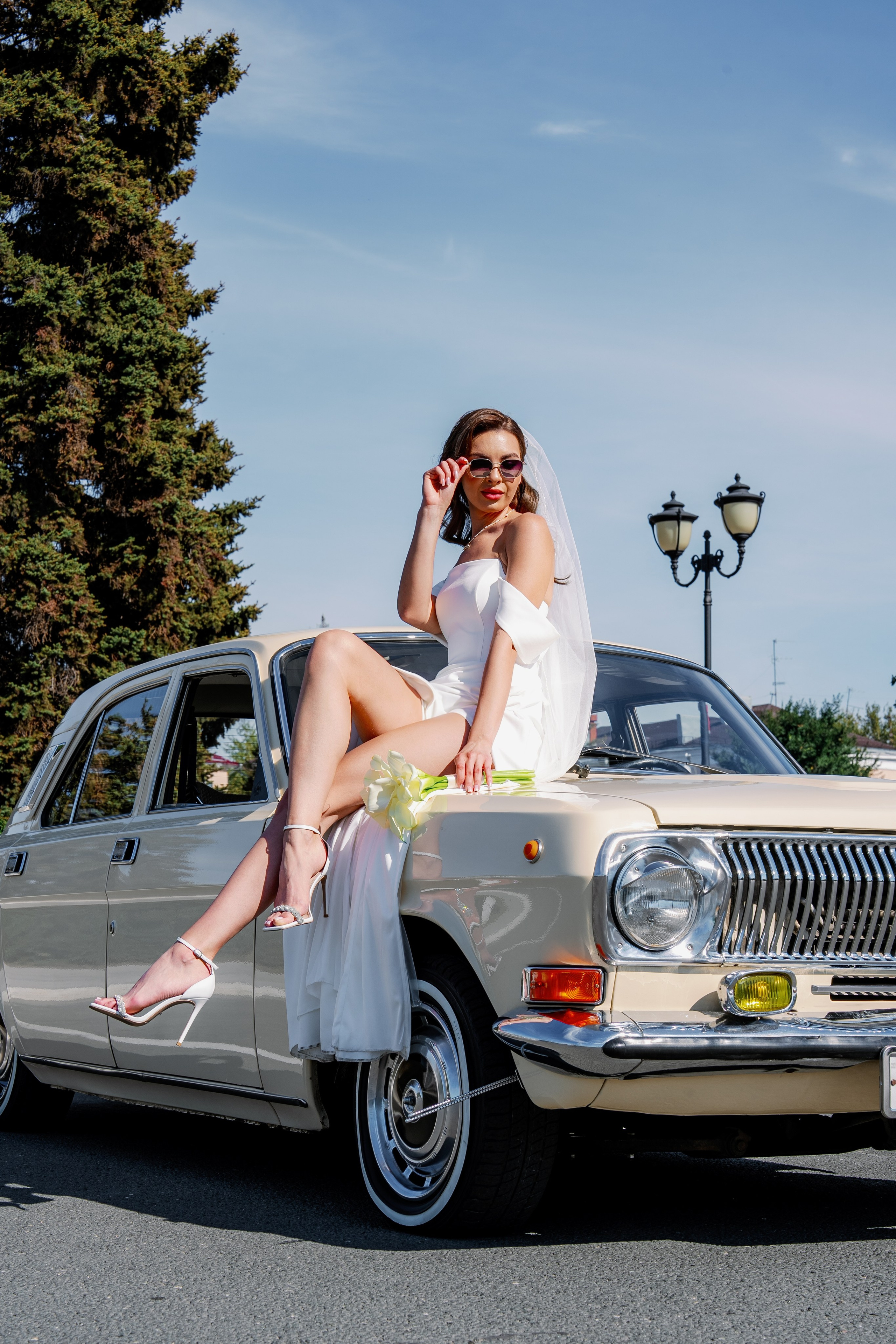 Дмитрий и Анастасия 2024