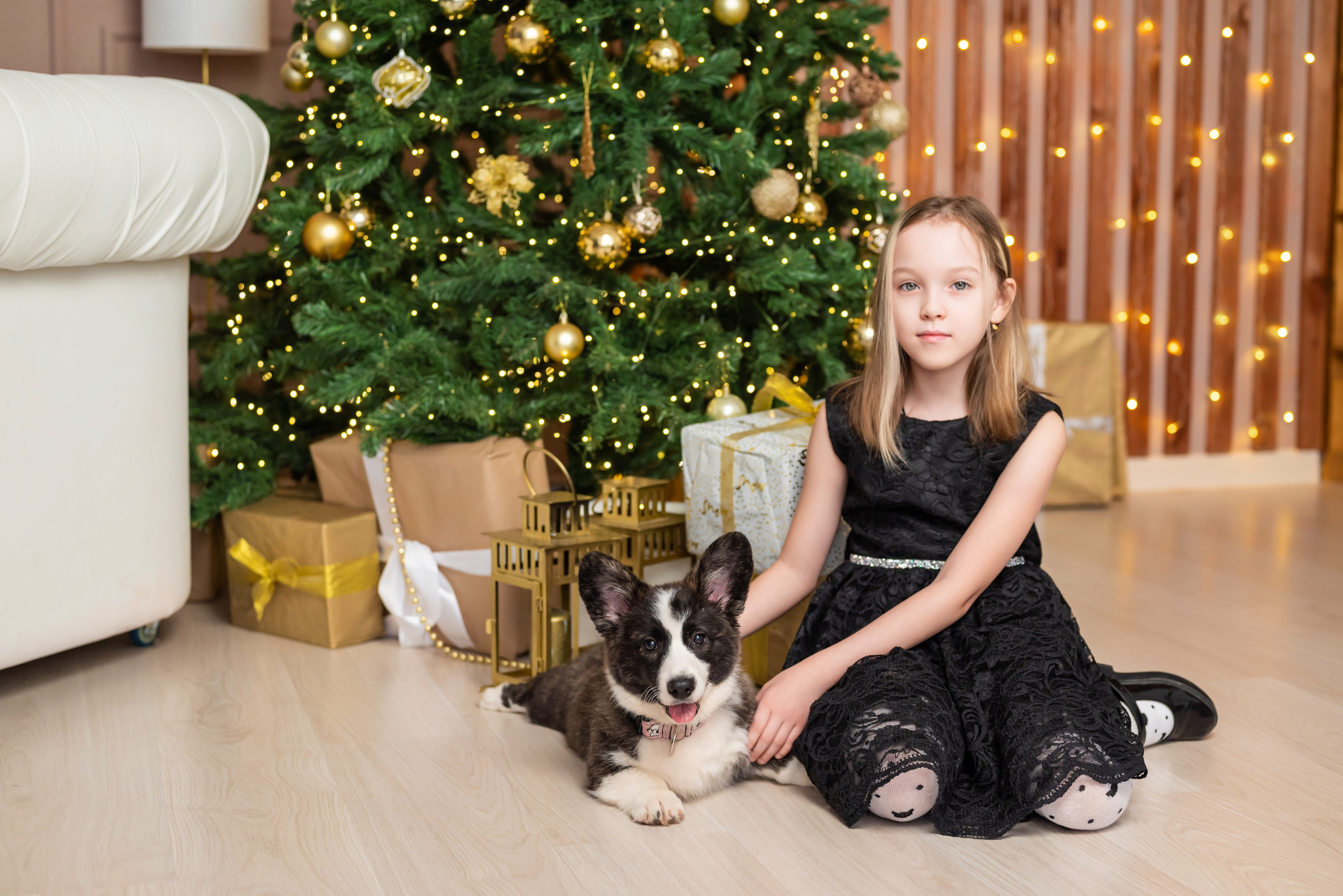 Фотопроект с корги. Фотограф в городе Салават