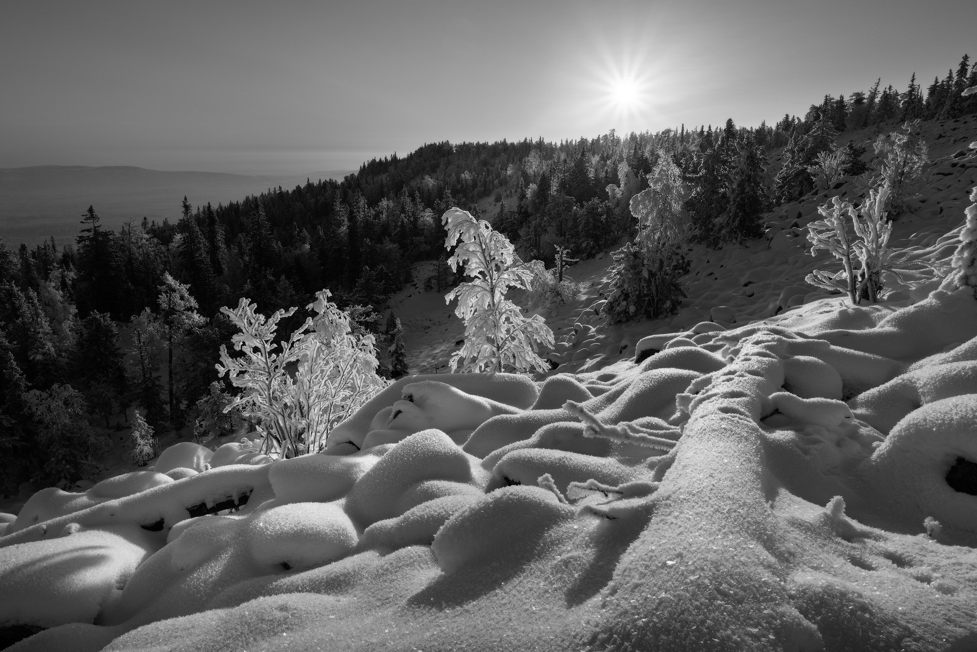 Зимний русский лес на горе Белая — символ суровой, но величественной природы Свердловской области.