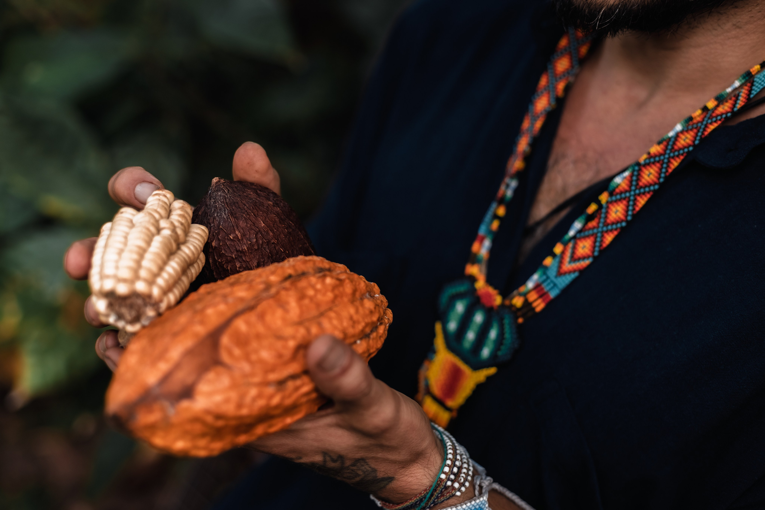 Juan and cacao. Мариам Багдасарян