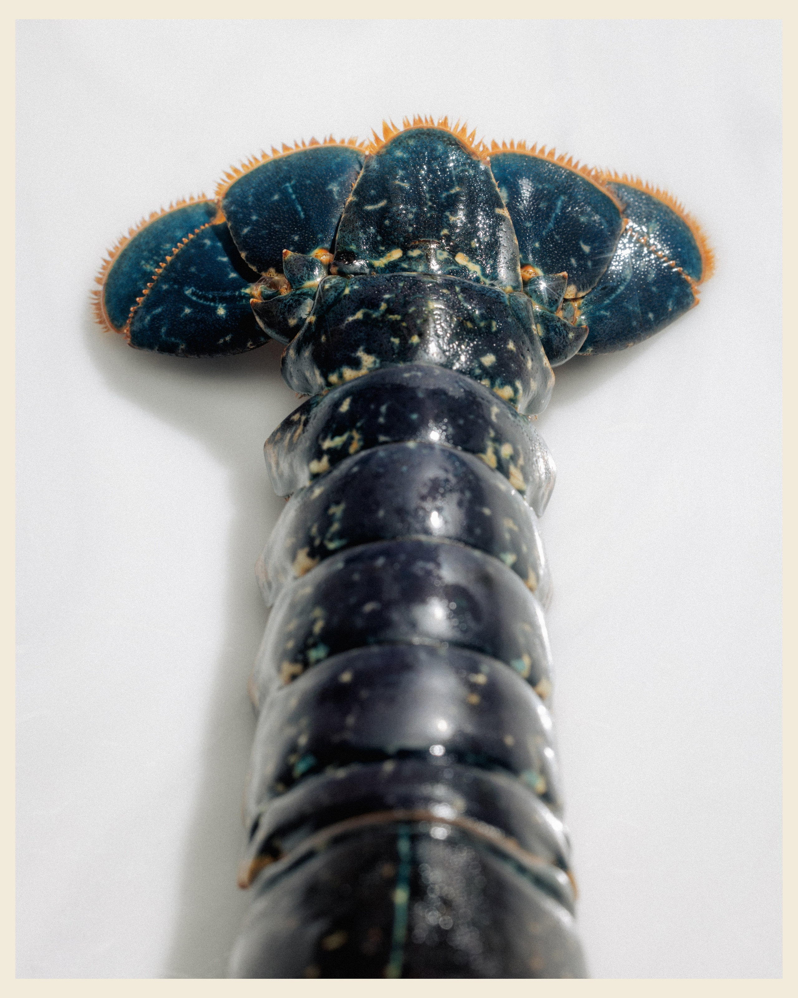 RIBAPILA x VANO. Ivan Petrov photographer