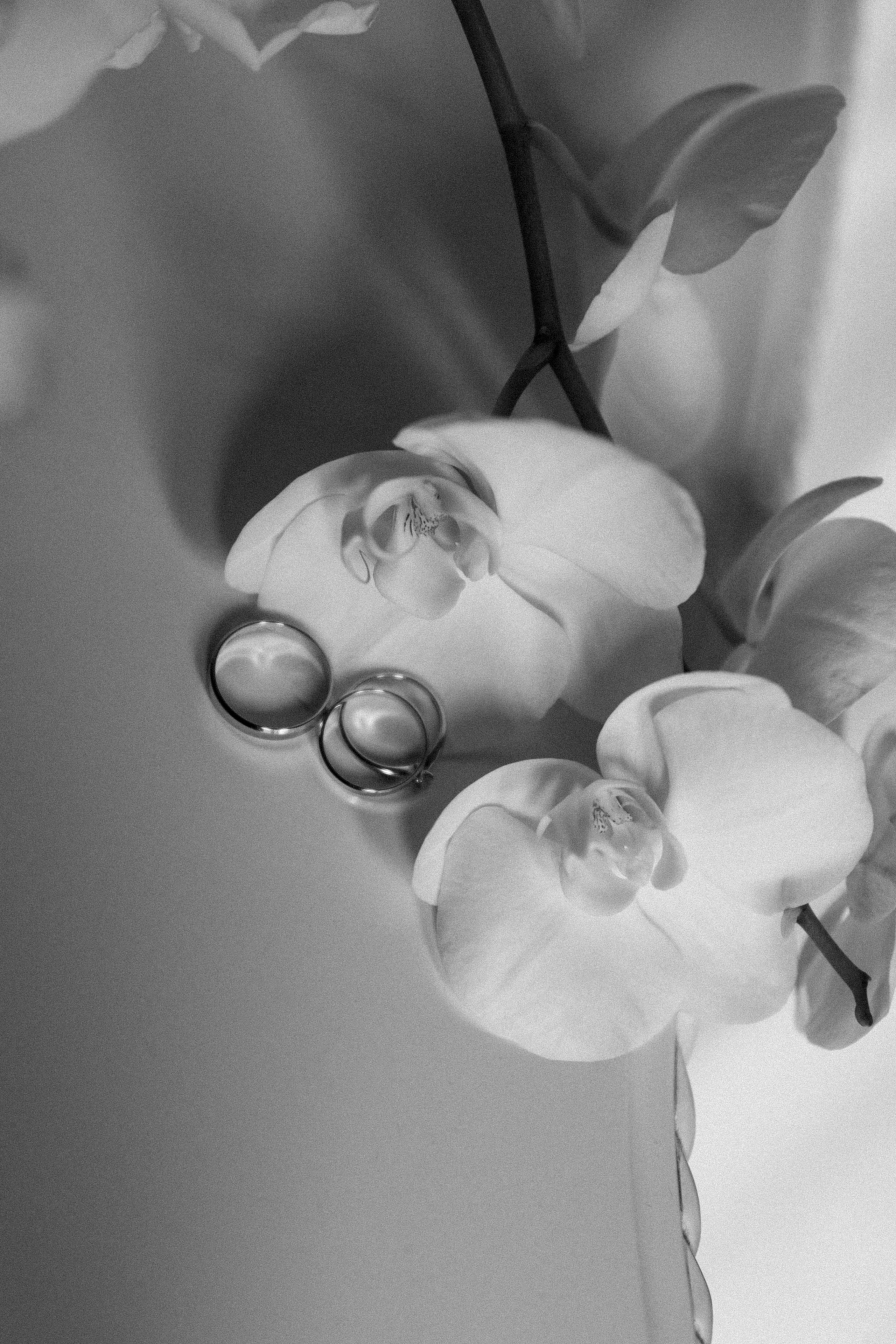 Максим и Алёна. Фотограф Тюмень Пушковская Кристина