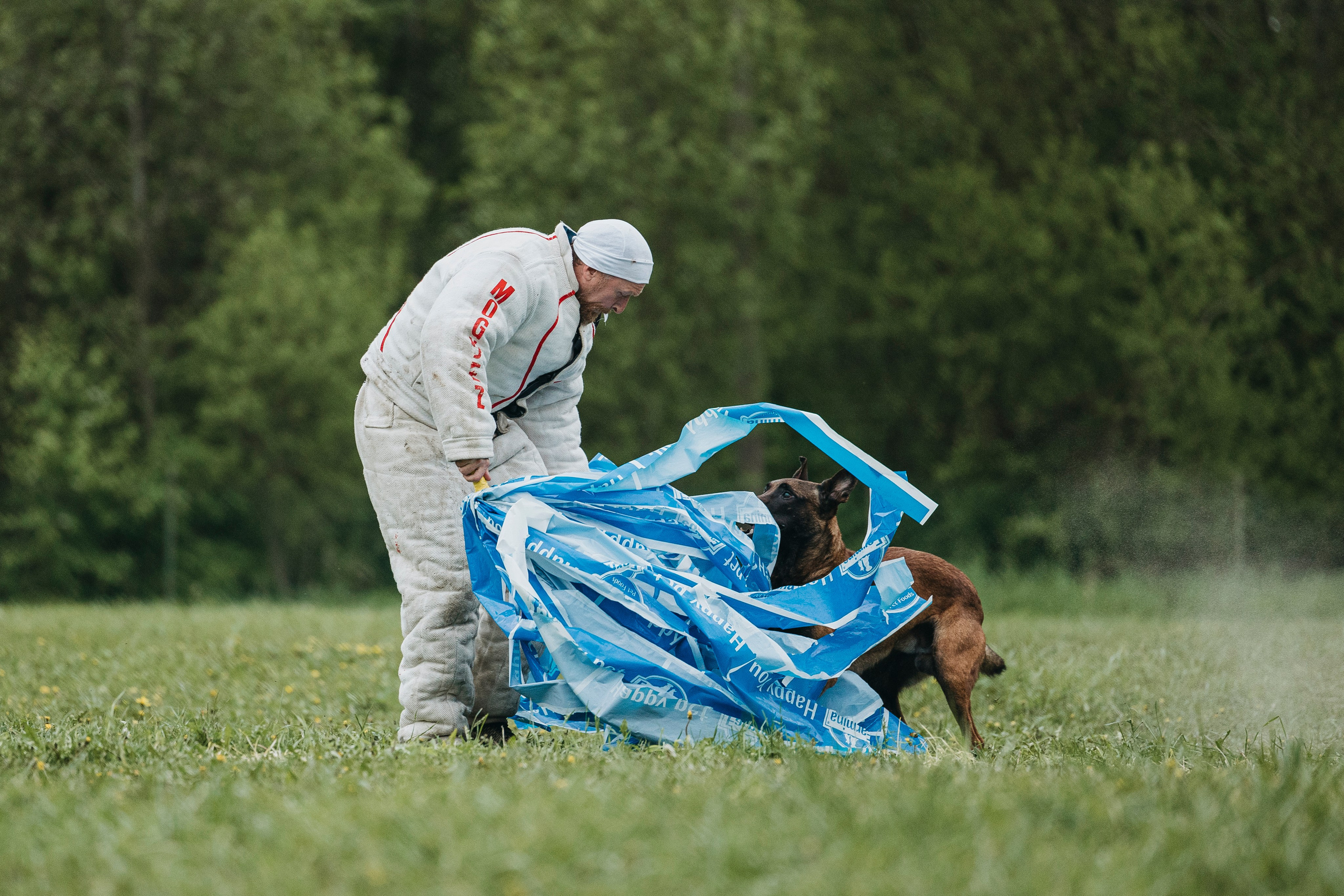 26.05.25 г. Пушкин квалификационные соревнования. Фотограф-анималист Анна Маринич