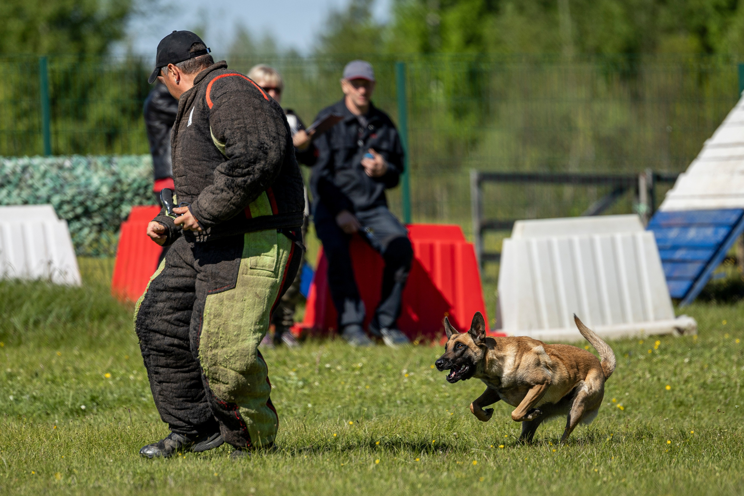Испытания по мондьорингу в Нижнем Новгороде. Фотограф-анималист Анна Маринич