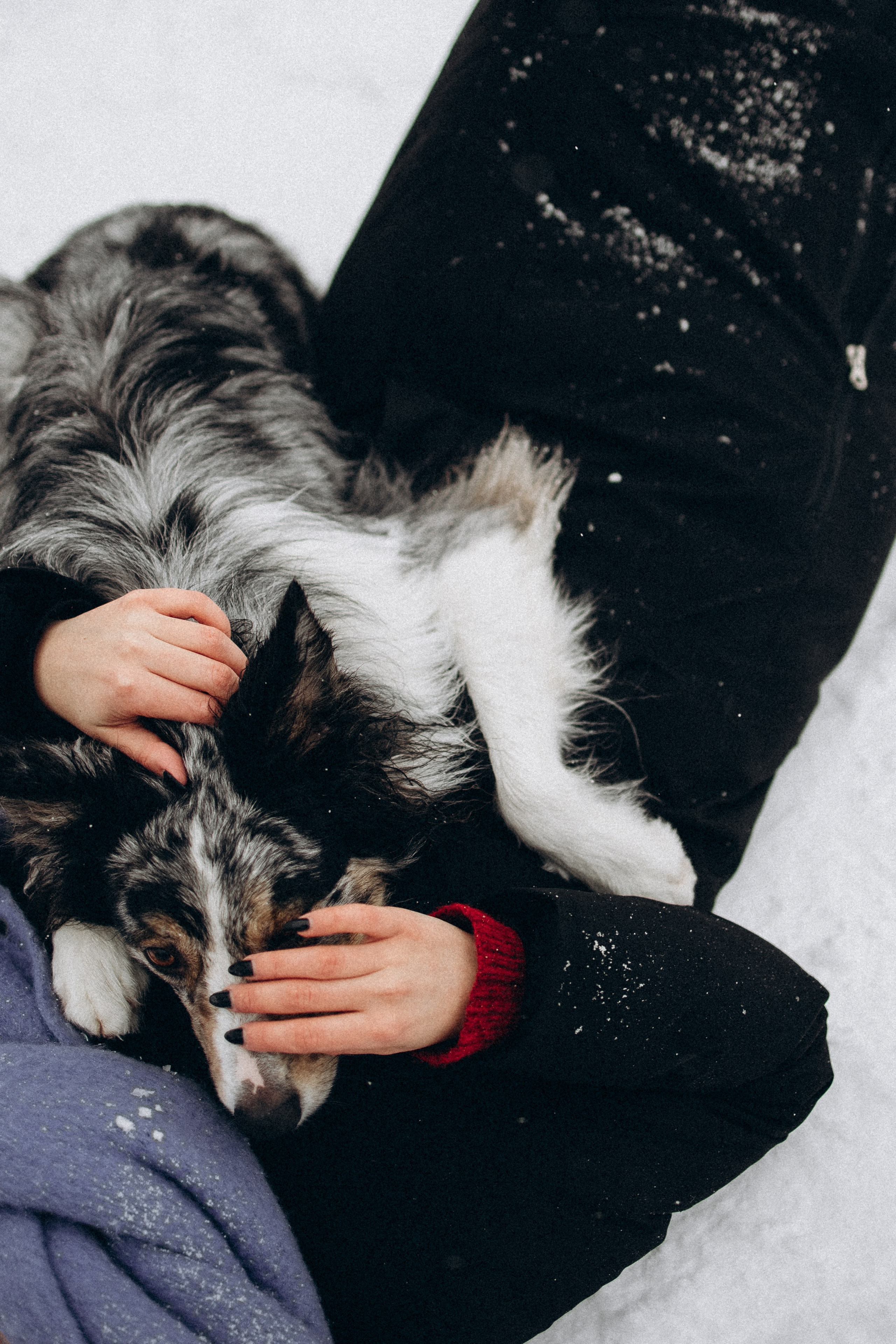 Настя и Тор. Фотораф — анималист Мария Шистка