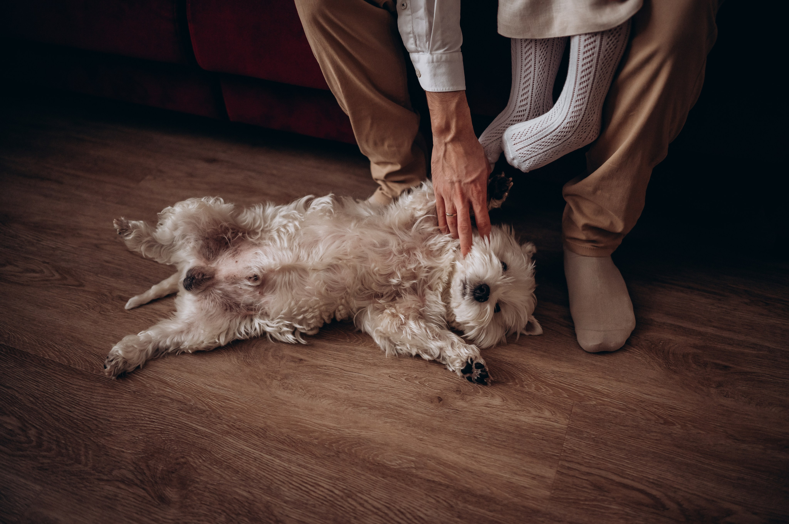 Юлия Юрий Аня и Игорь. Детский и семейный фотограф в Москве