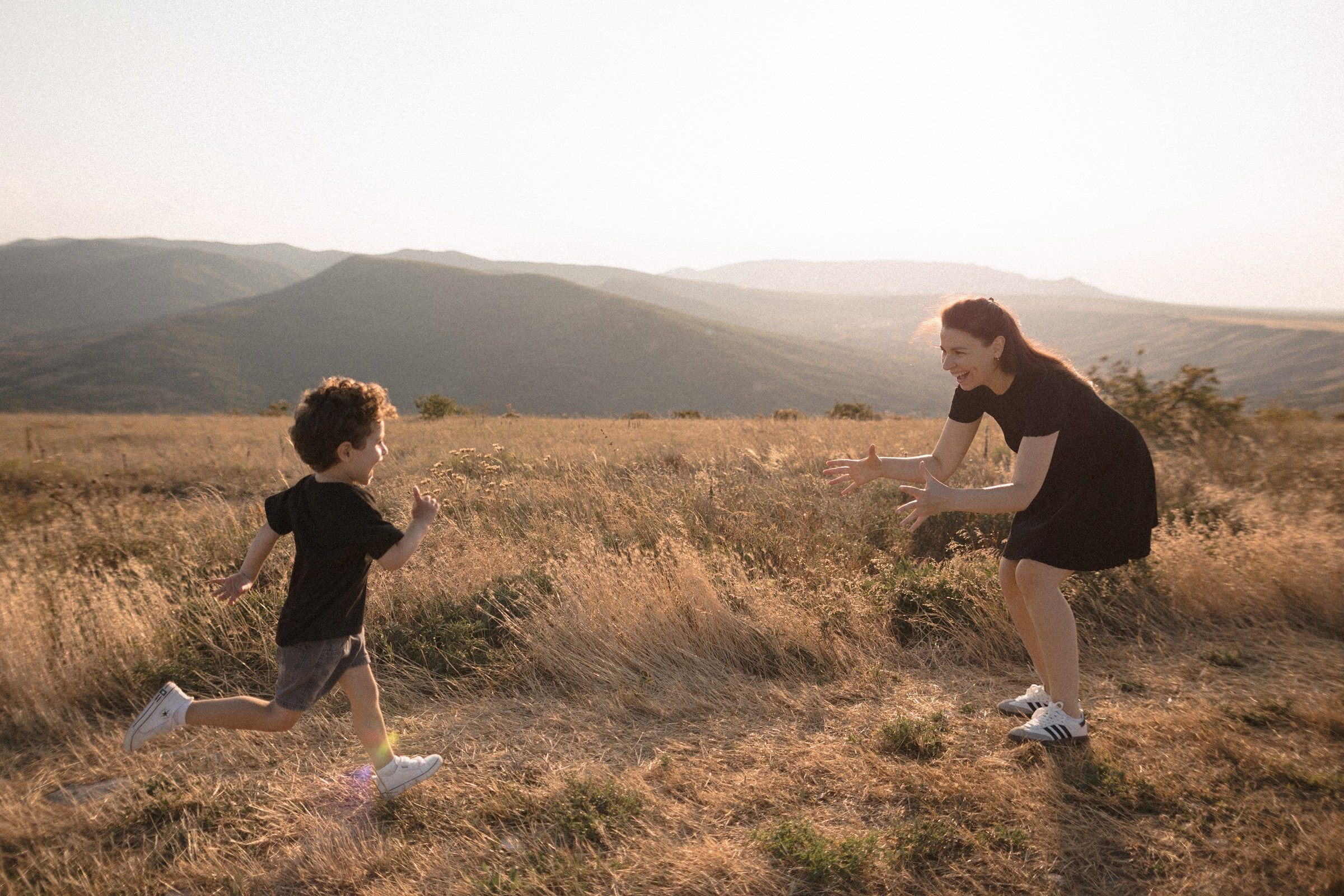 Воздушный змей. Sovushka DS