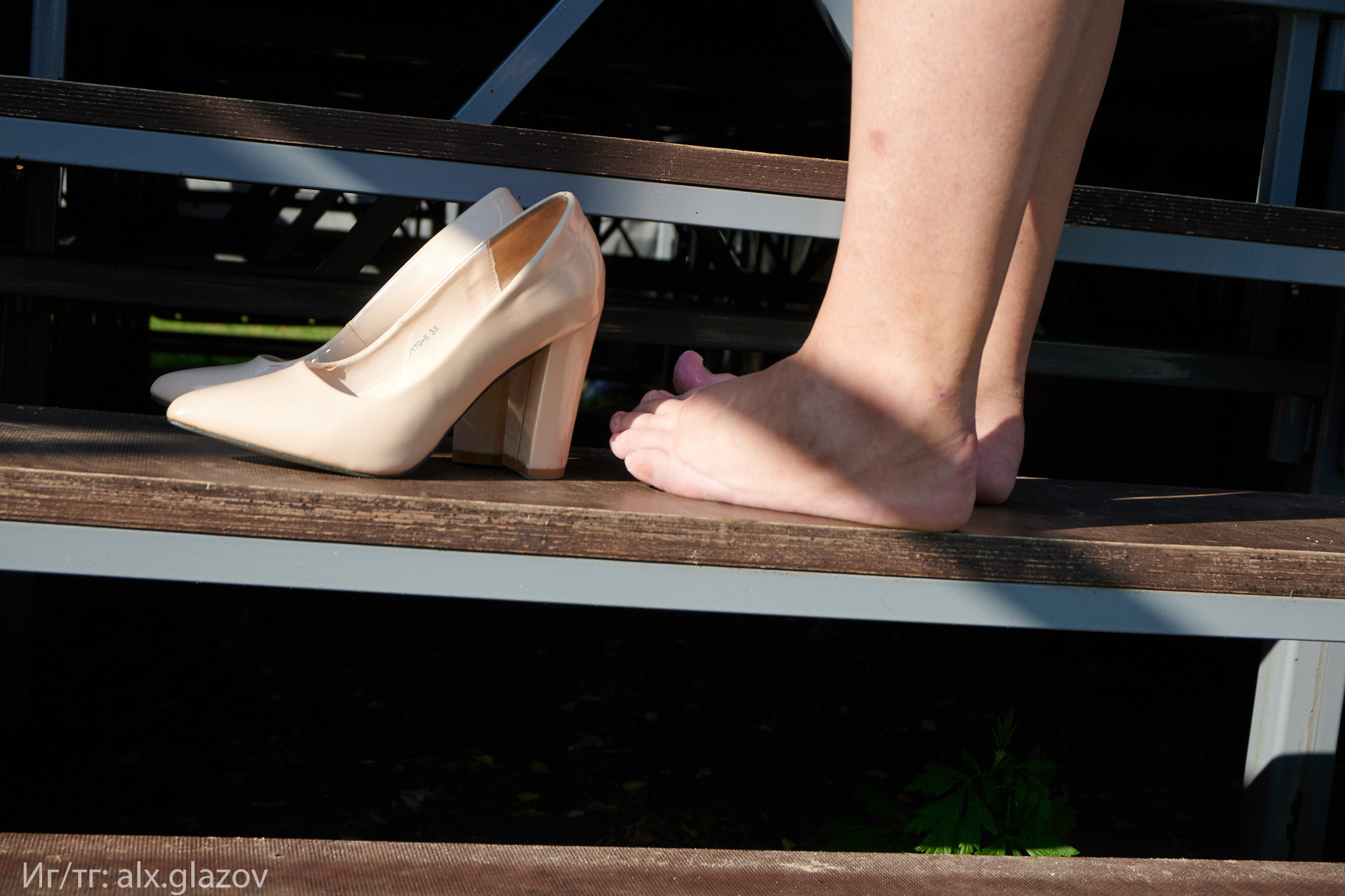 День села. Фотограф Москва Александр Глазов