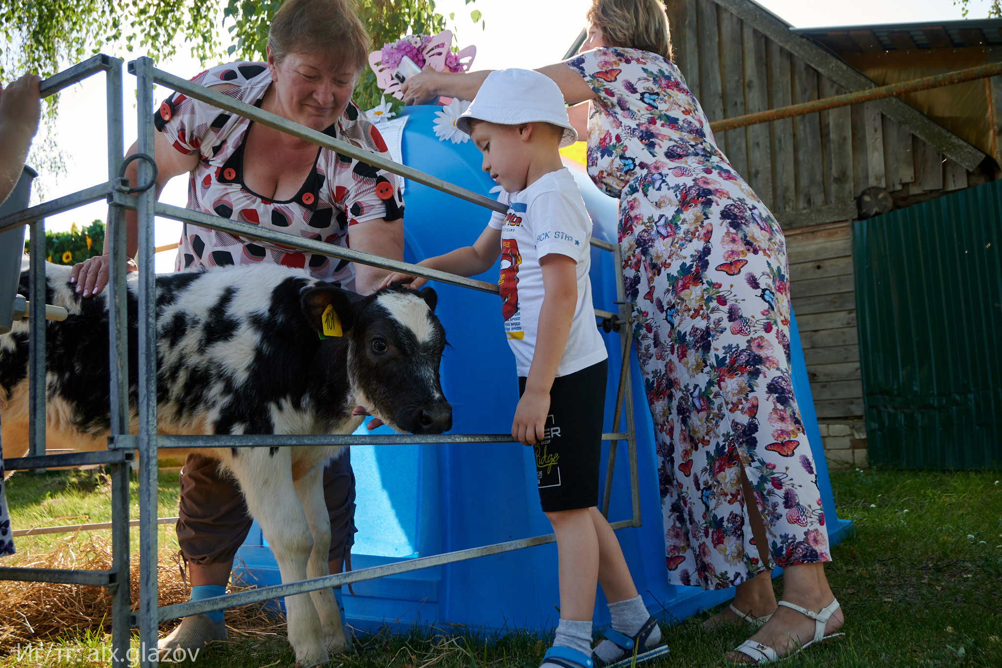 День села. Фотограф Москва Александр Глазов