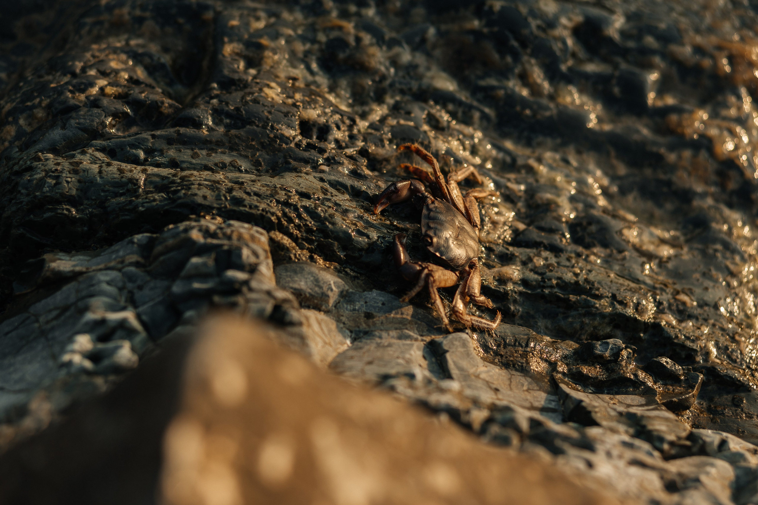 Слава и Настя