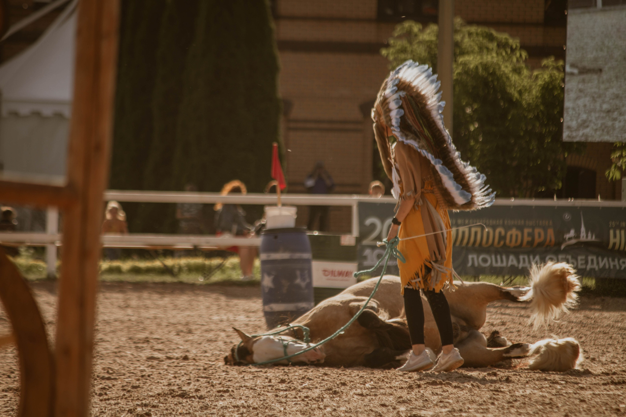 ИППОСФЕРА — Международная конная выставка. Создадим шедевр? Виталина и её фотоискусство