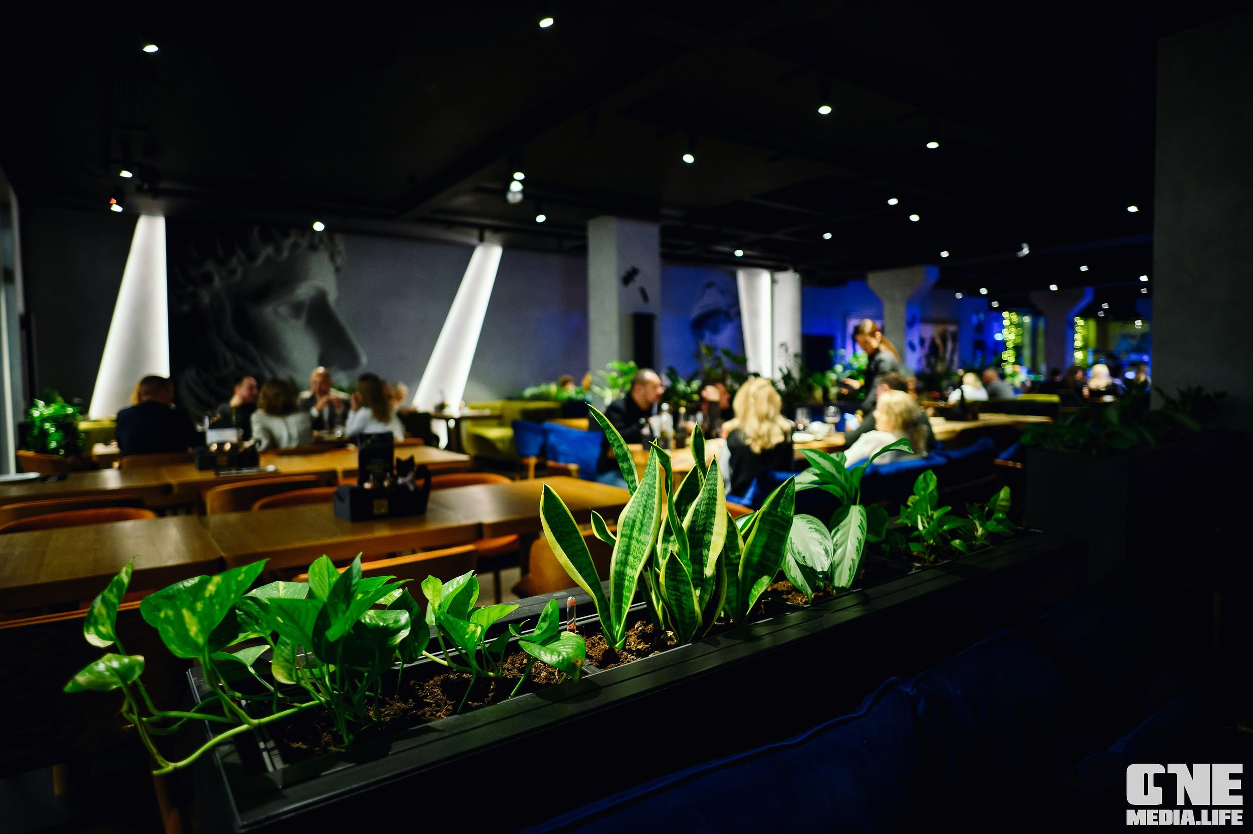 Фоторепортаж из ресторана El Greco. One Media Life: фоторепортажи, фотоотчеты с мероприятий и заведений